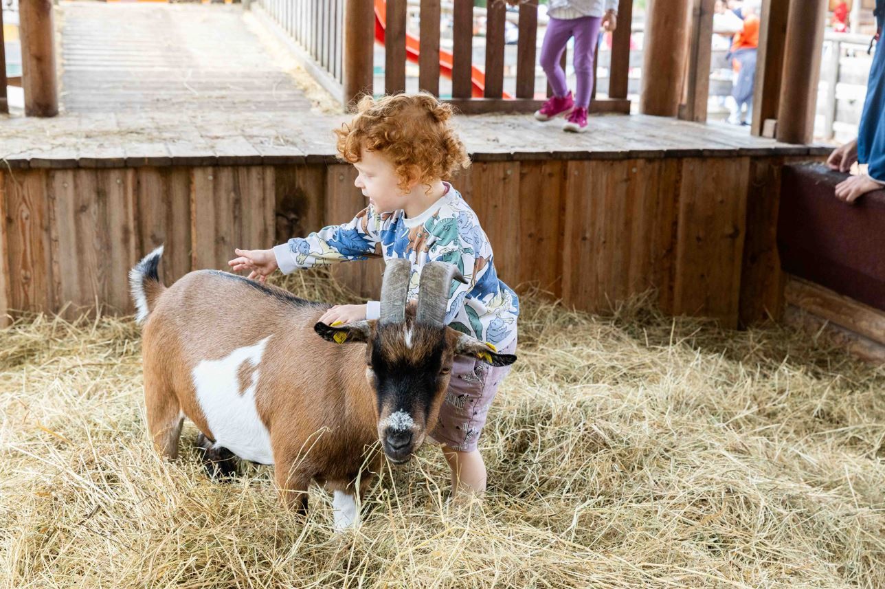 Mit dem richtigen Umgang kommt auch das Verständnis.