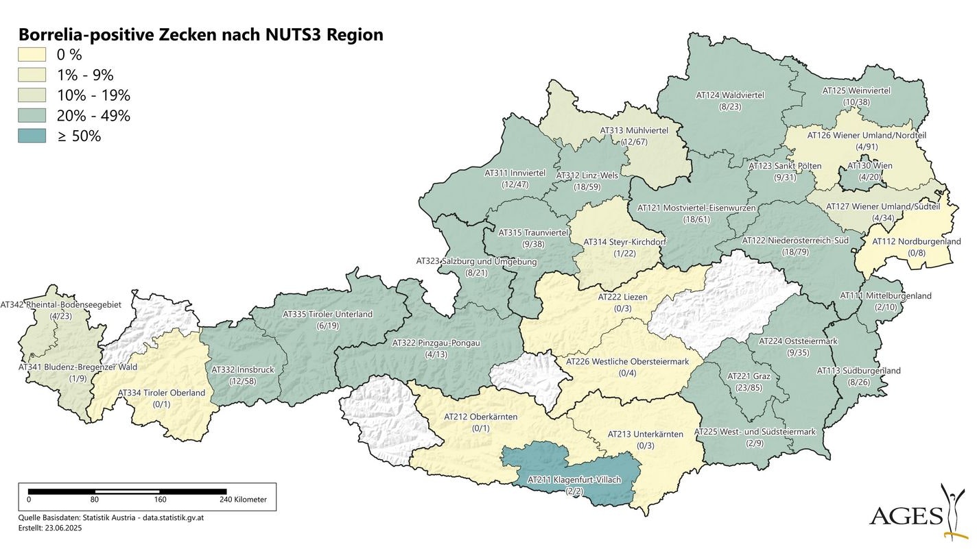 Die Karte zeigt, wo besonders viele Zecken von Borreliose befallen sind.