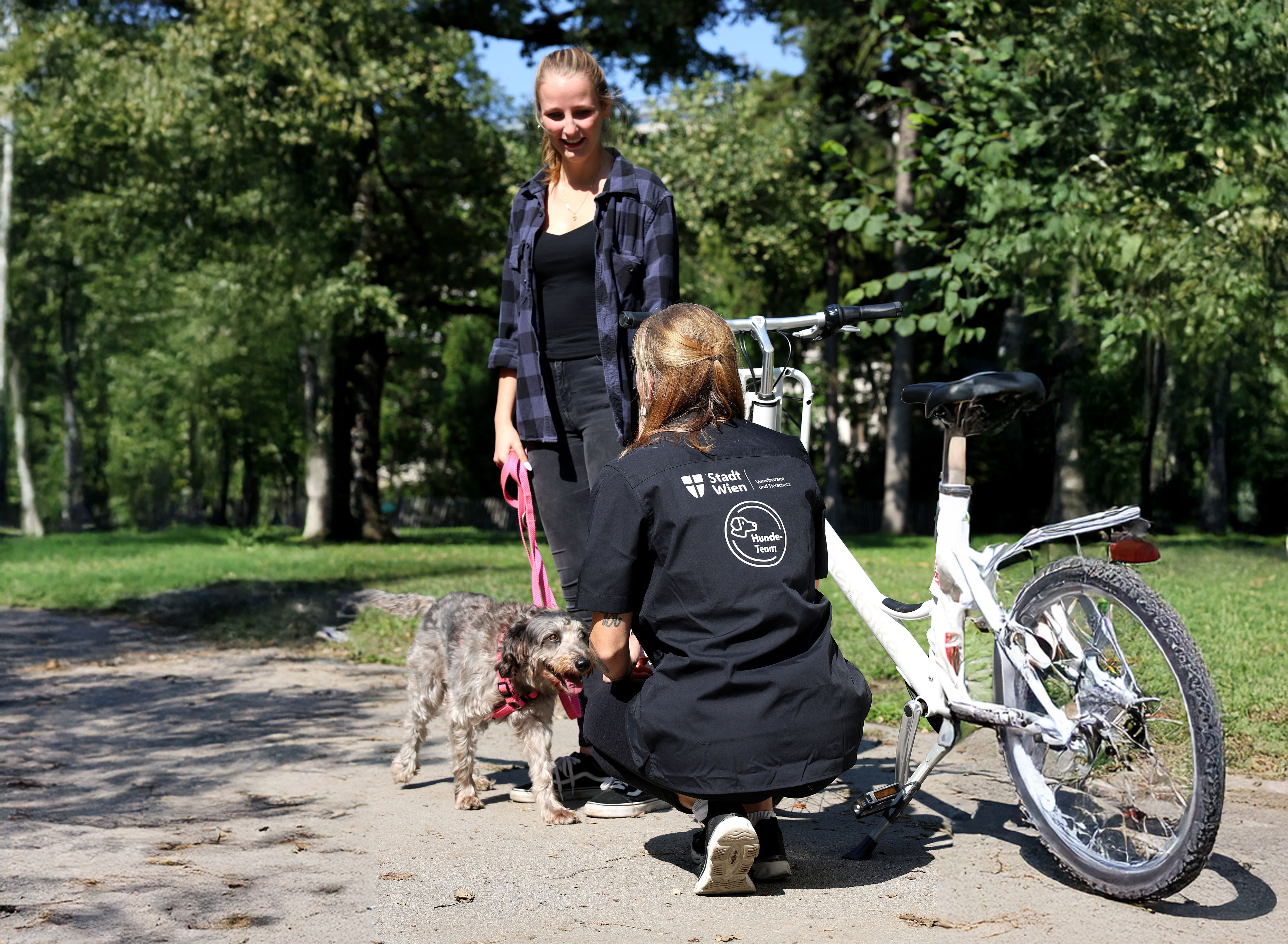 Die Wiener Hundeteams kontrollieren die Wälder.