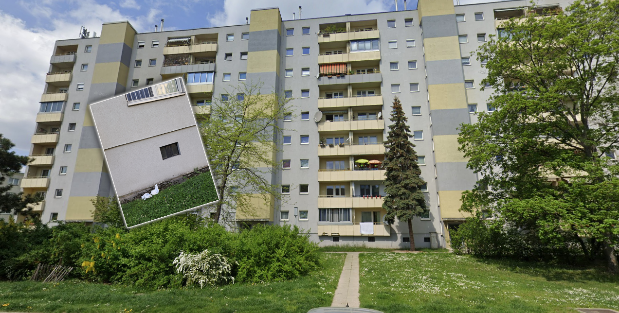 Die Mieterin klagt über den Zustand in ihrem Gemeindebau in der Anton-Sattler-Gasse 115.