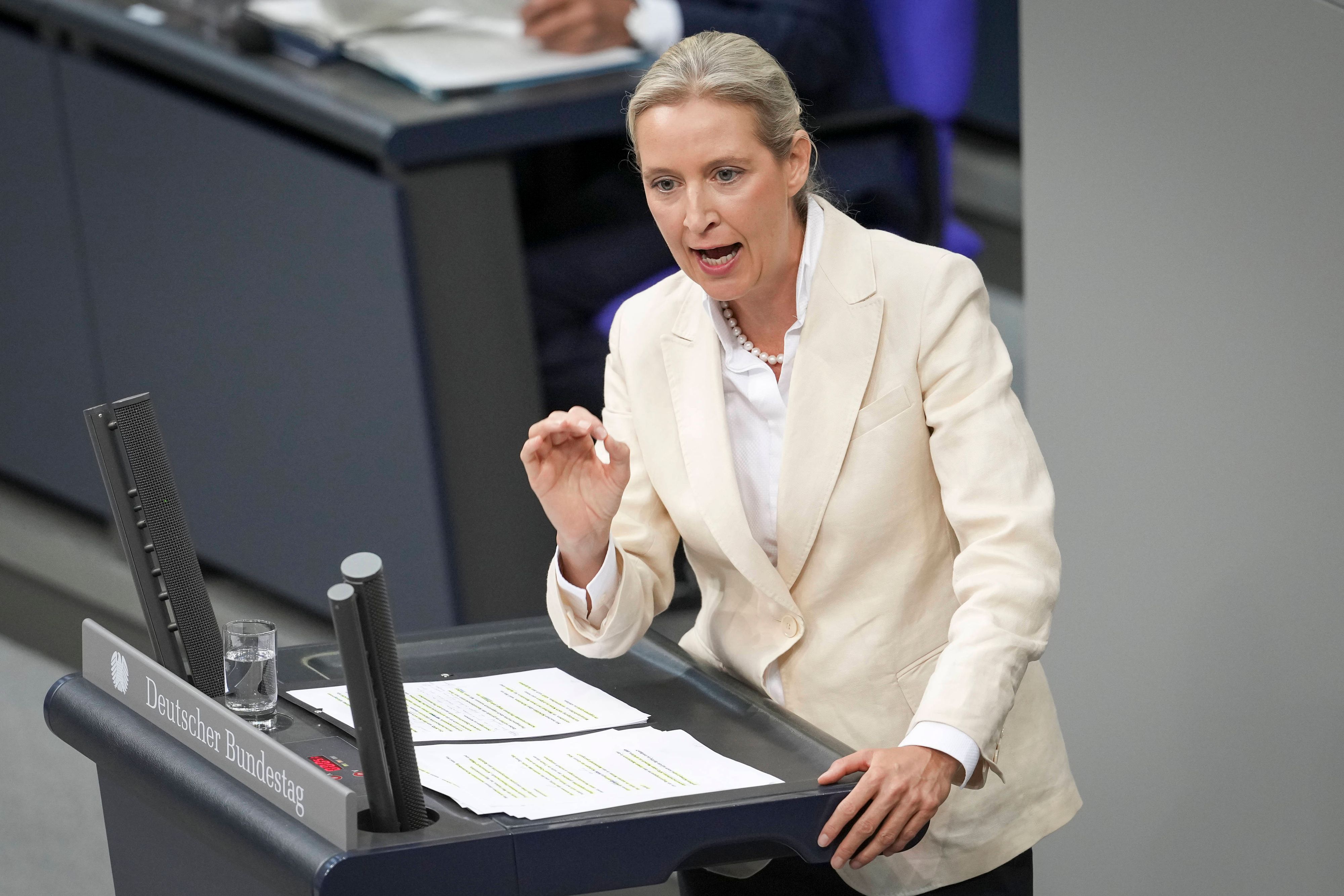 Alice Weidel spricht von gebrochenen Wahlversprechen.