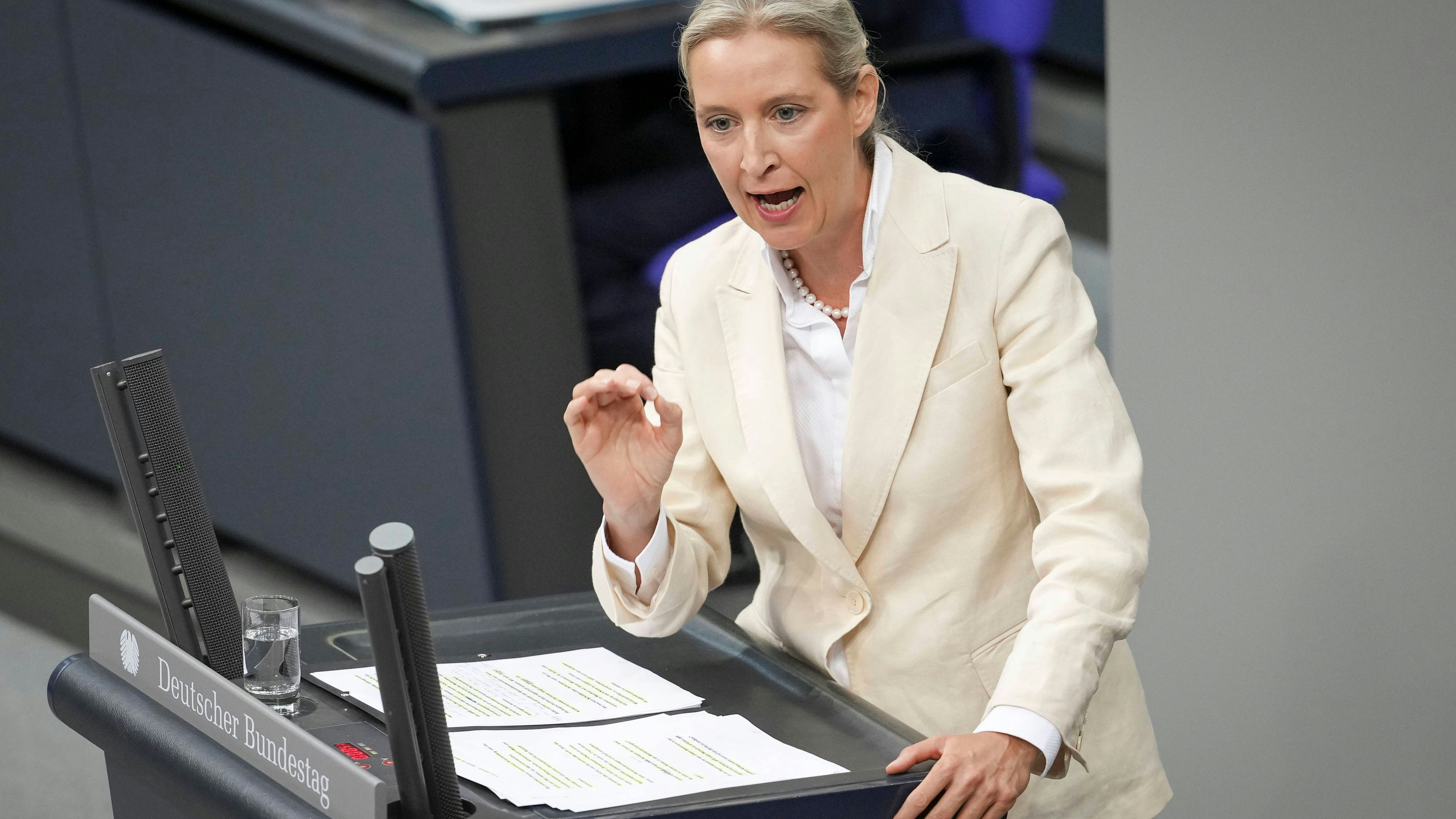 Heute.at - Eklat im Bundestag: Weidel nennt Merz Lügenkanzler