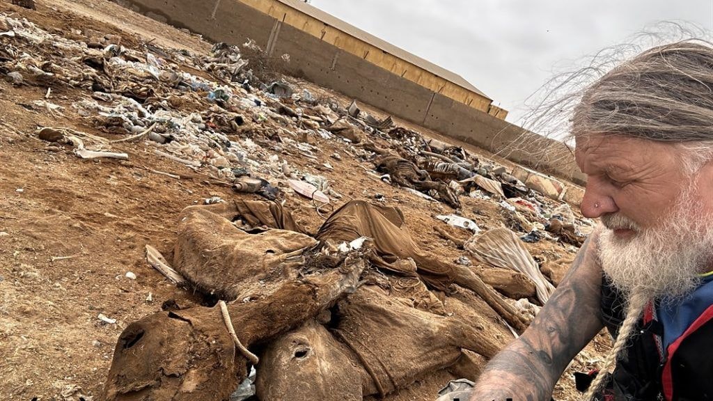 Tom Putzgruber von "RespekTiere" setzt sich über Kontinente für Tiere ein.