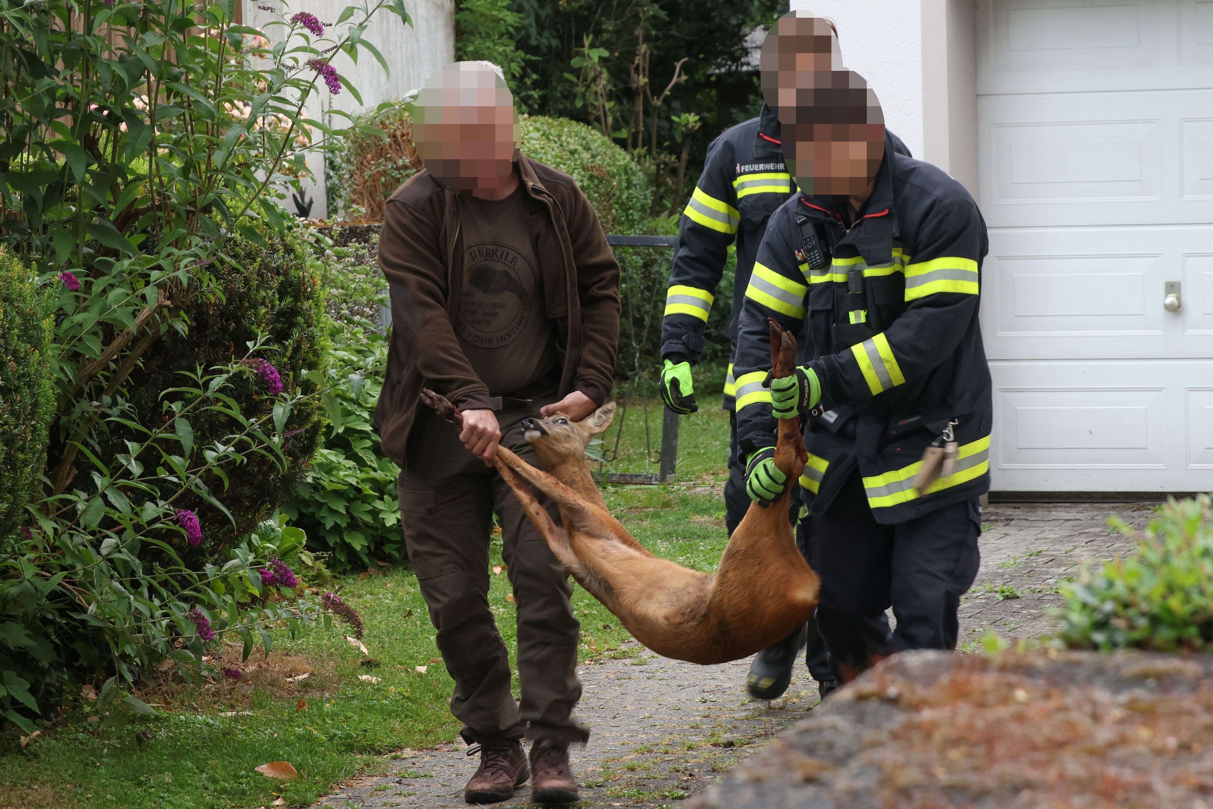 Jäger und Feuerwehr retteten den Rehbock aus der misslichen Lage.