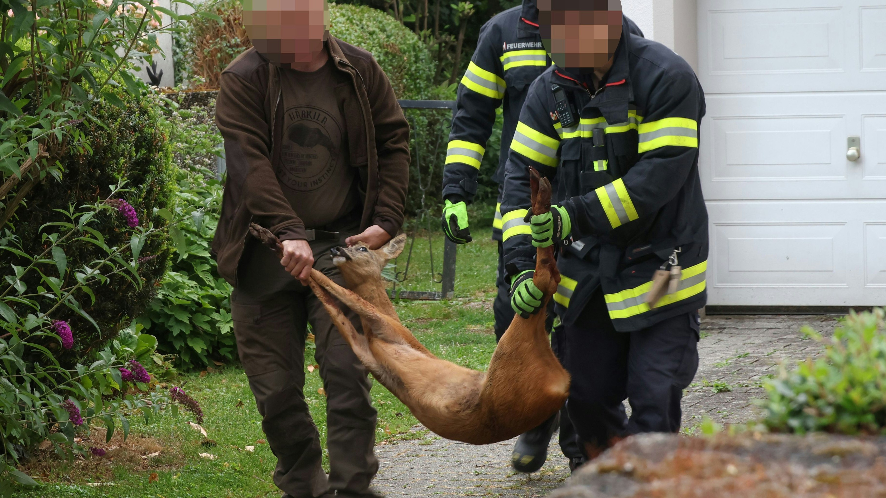 Heute.at - Armes Bambi in Gartentor gefangen – Feuerwehr rückt an