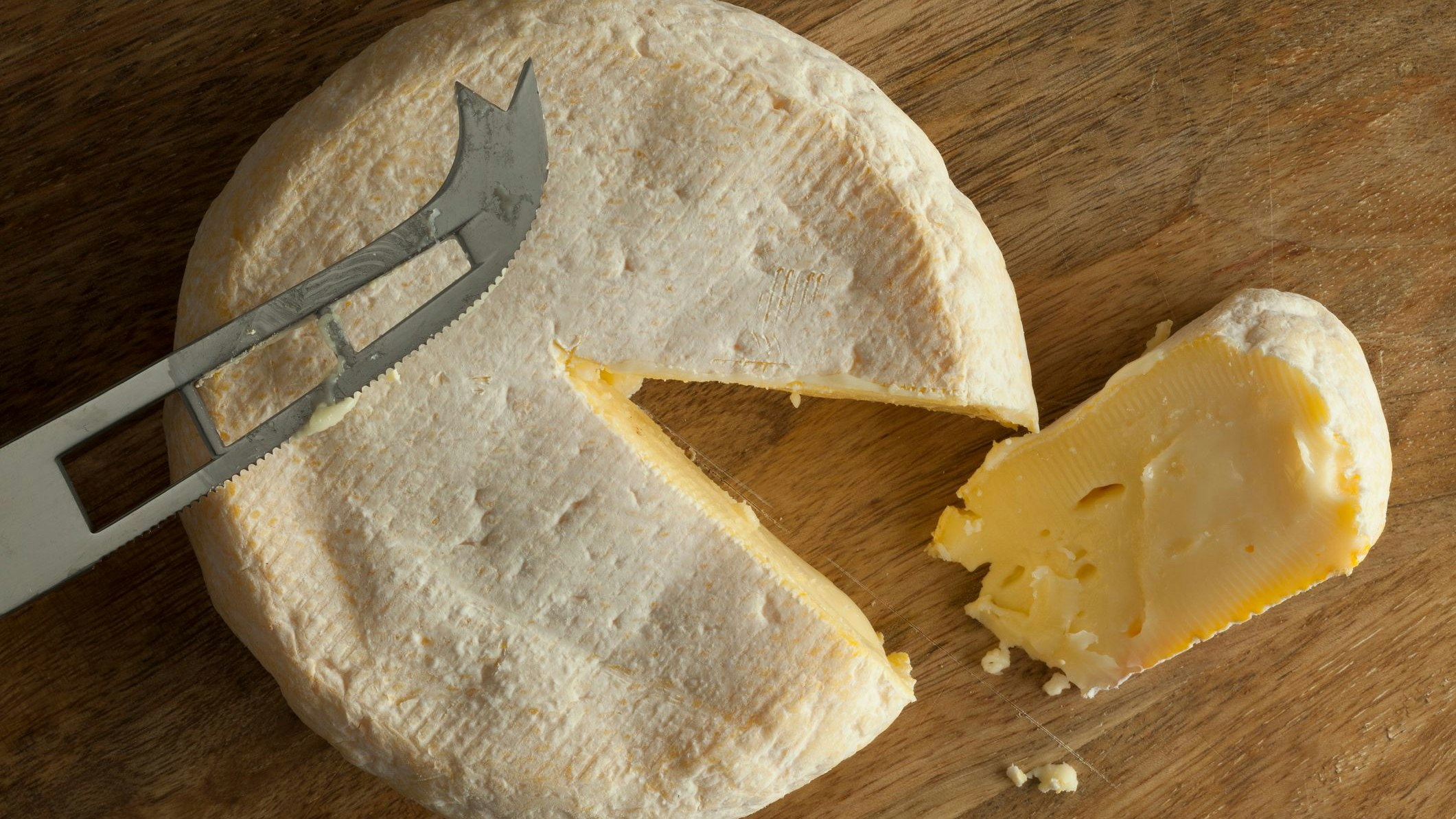 Heute.at - FSME-Hirnvirus im Käse! Neuer Ansteckungsweg entdeckt