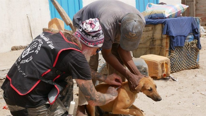 Tom Putzgruber will so viele Tiere retten wie möglich: Eseln, aber auch Hunde oder Ziegen.