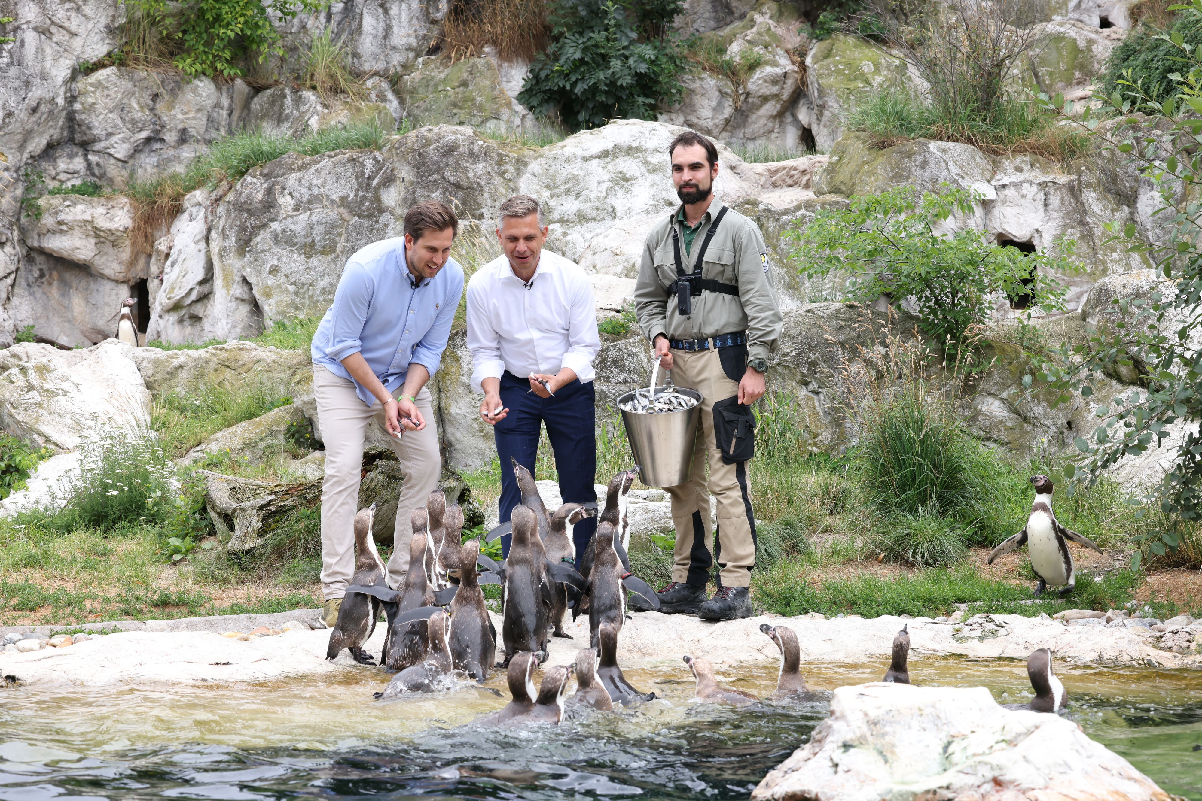 Im Pinguingehege im Tiergarten Schönbrunn: Wirtschaftsminister Hattmannsdorfer, Staatssekretär Pröll, Niklas Hörper vom Polarium.