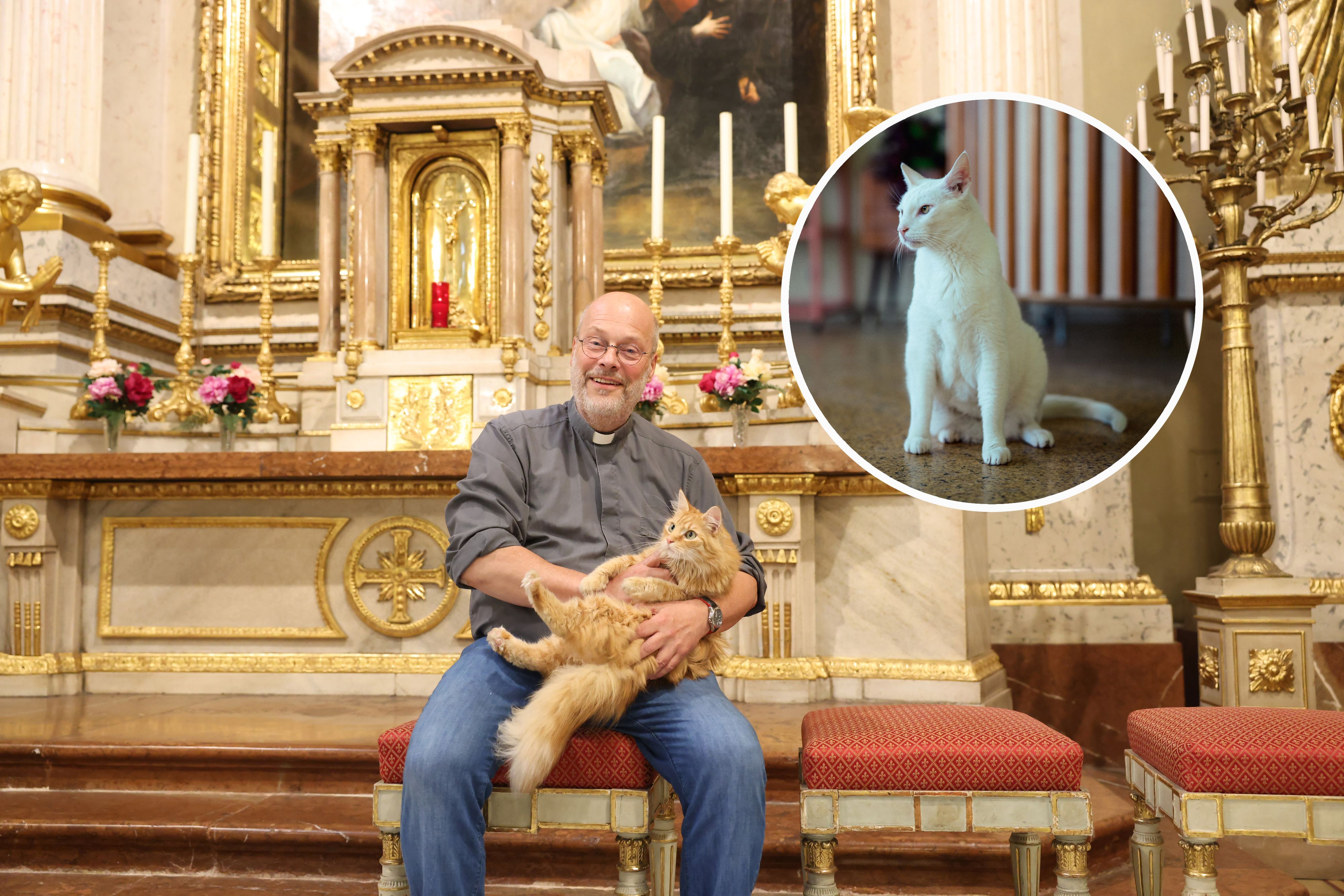 Pfarrer Bernhard Messer mit Kater 