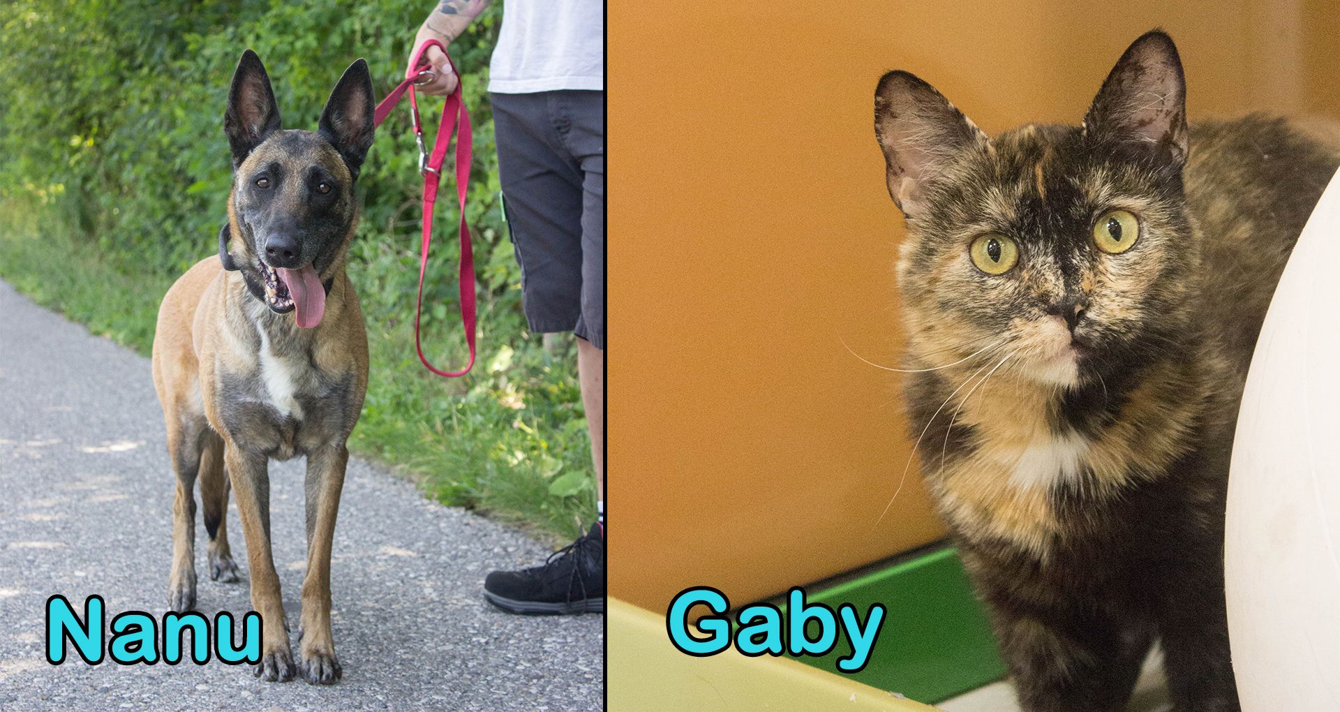 In dieser Woche warten 