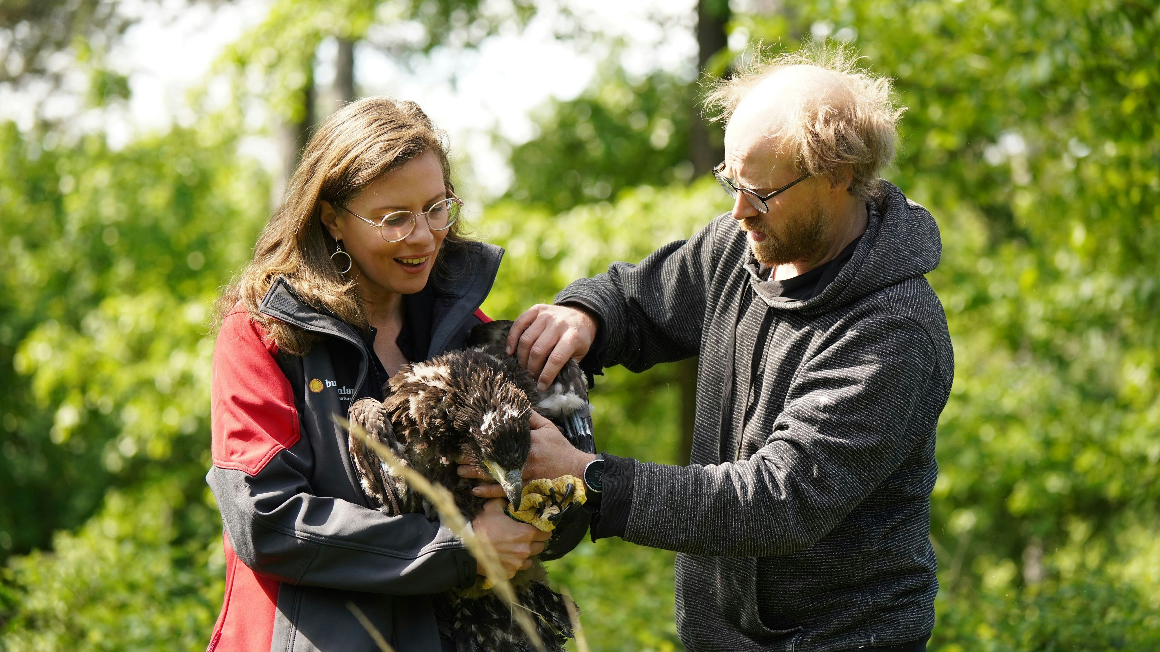 Heute.at - Drama um Seeadler Dante – Landes-Vize setzt sich ein