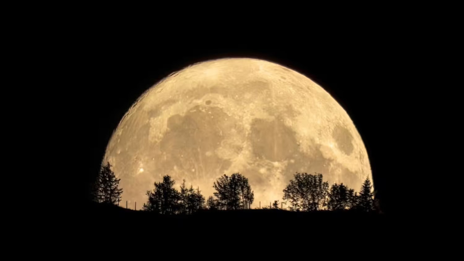 In Nordamerika heißt der Heumond dagegen Buck Moon.