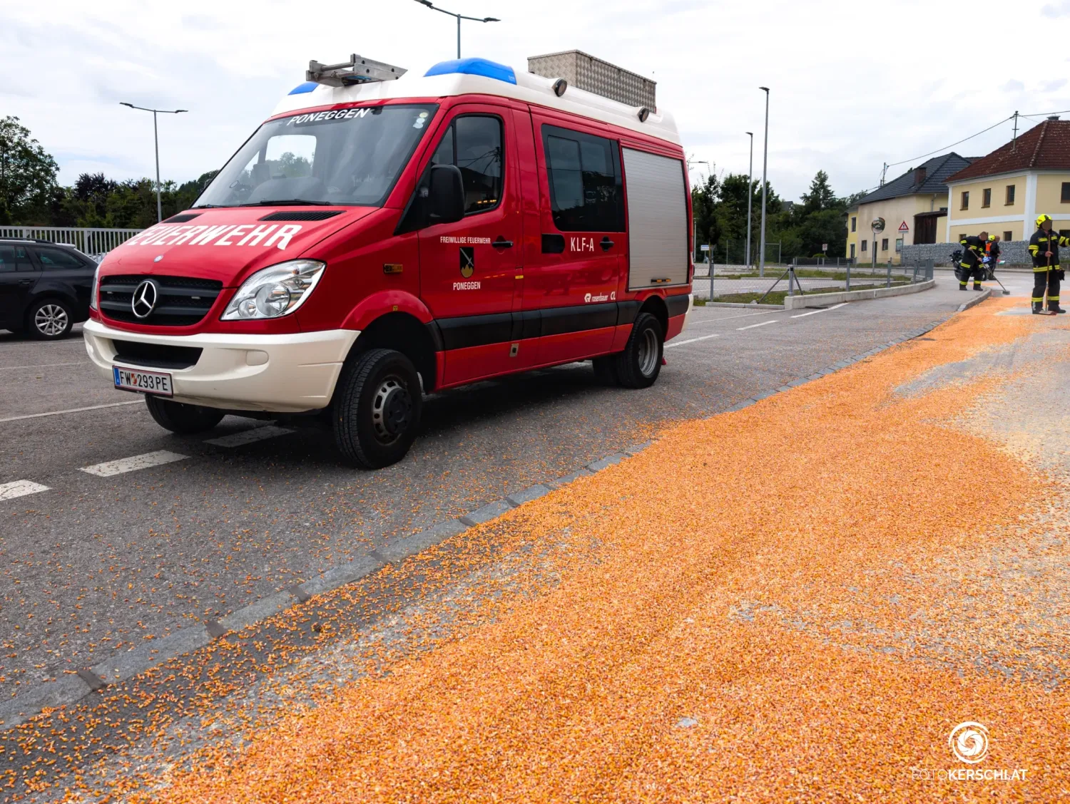 Ein seltsamer Anblick: Mais färbte eine Straße im Bezirk Perg.