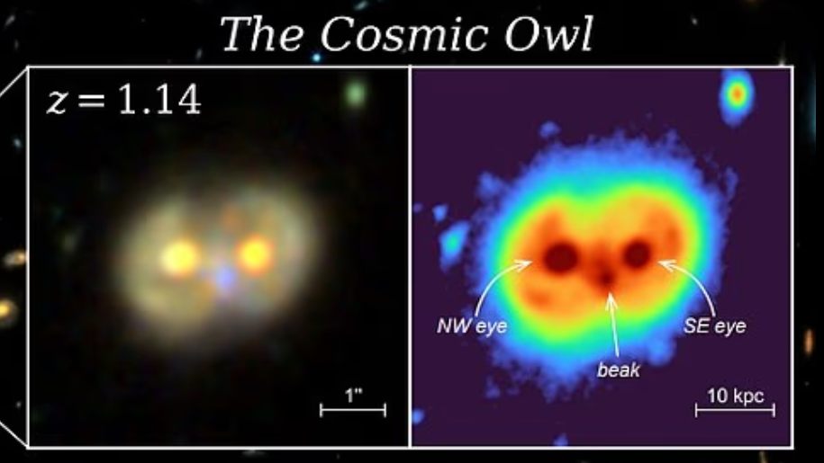Erschreckende Ähnlichkeit mit einer Eule: zwei verschmelzende Galaxien.