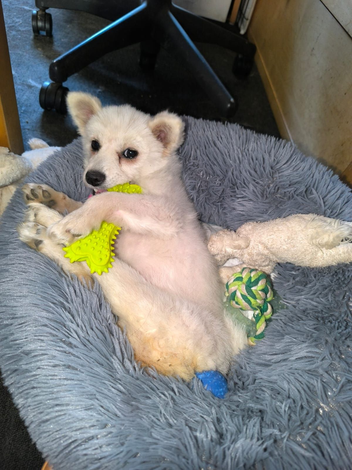 Trotz Schwierigkeiten kämpft sich Fee mutig durchs Leben