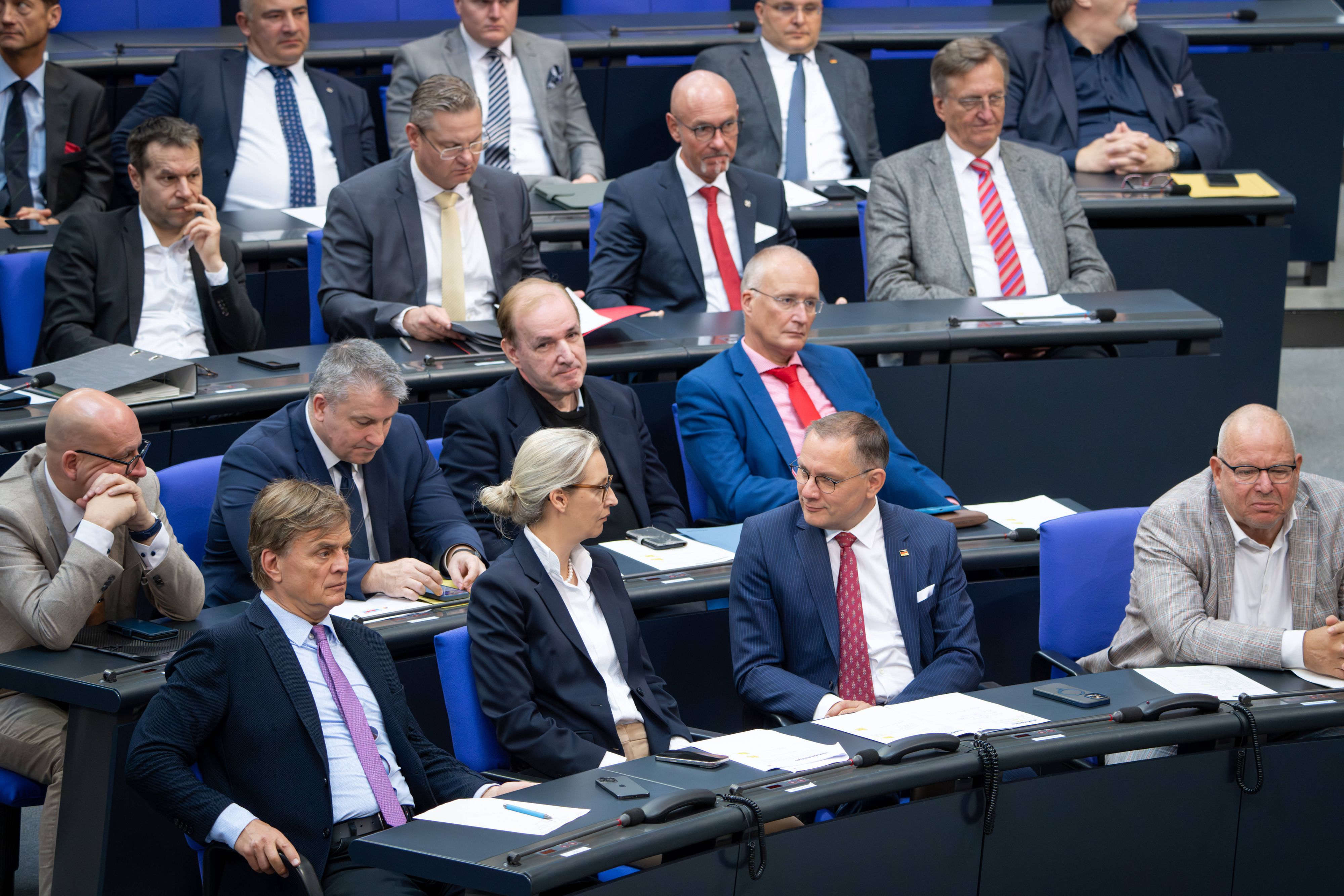 Das deutsche Bundesland Rheinland-Pfalz möchte keine Mitglieder der Partei um Alice Weidel und Co im öffentlichen Dienst beschäftigen.