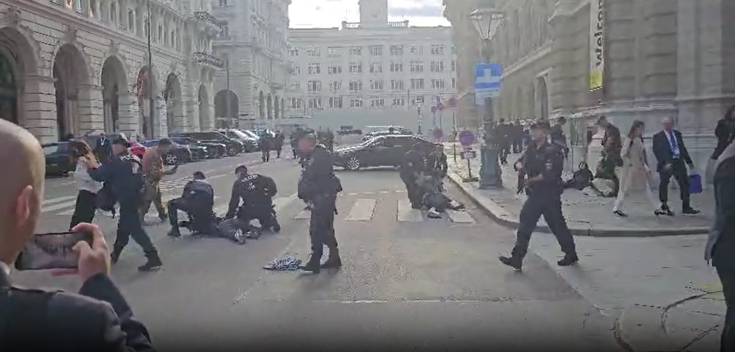 Es kam im Zuge der Demo zu fünf Festnahmen.