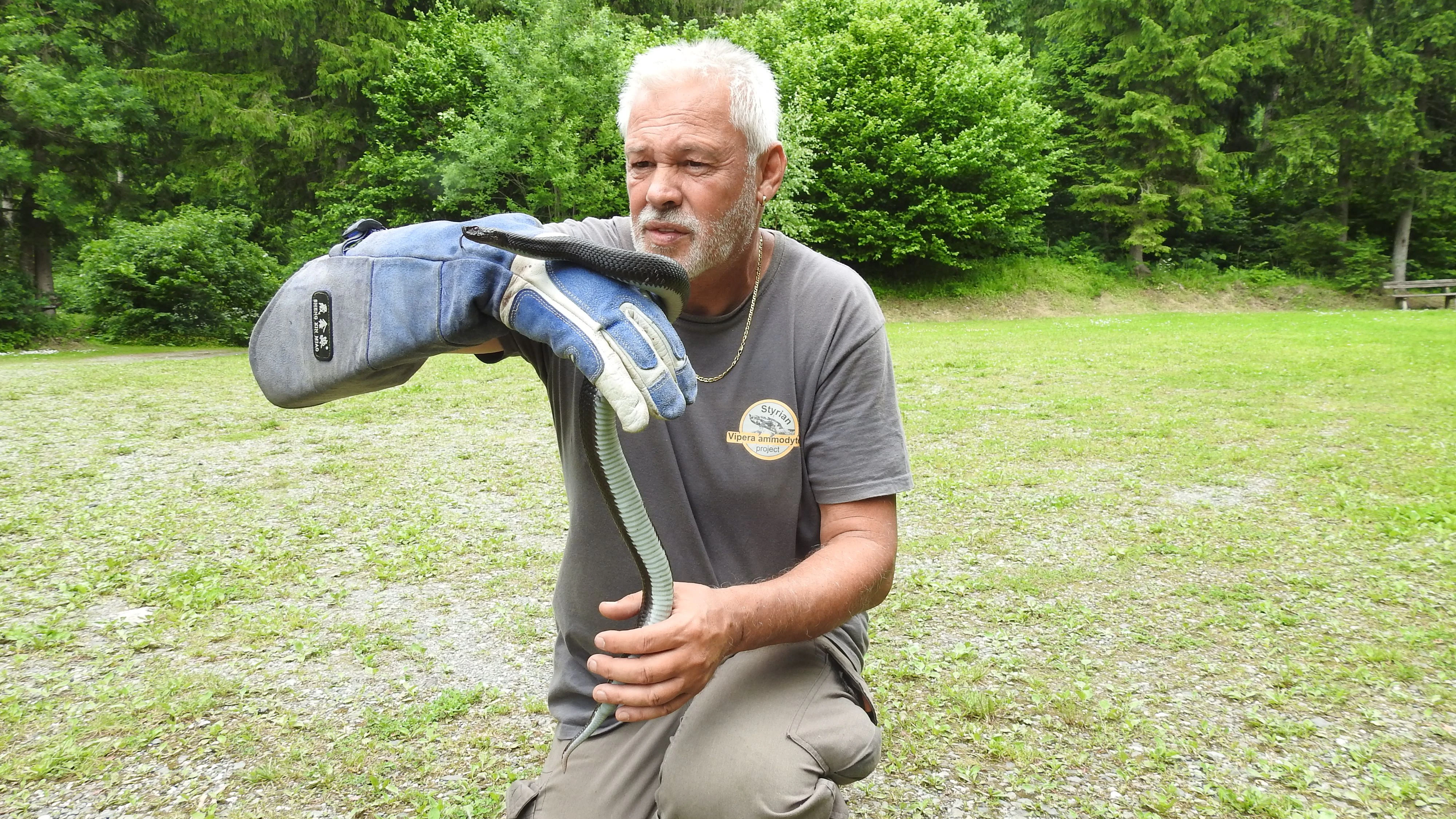 Werner Stangl ist der steirische "Snake-Catcher".