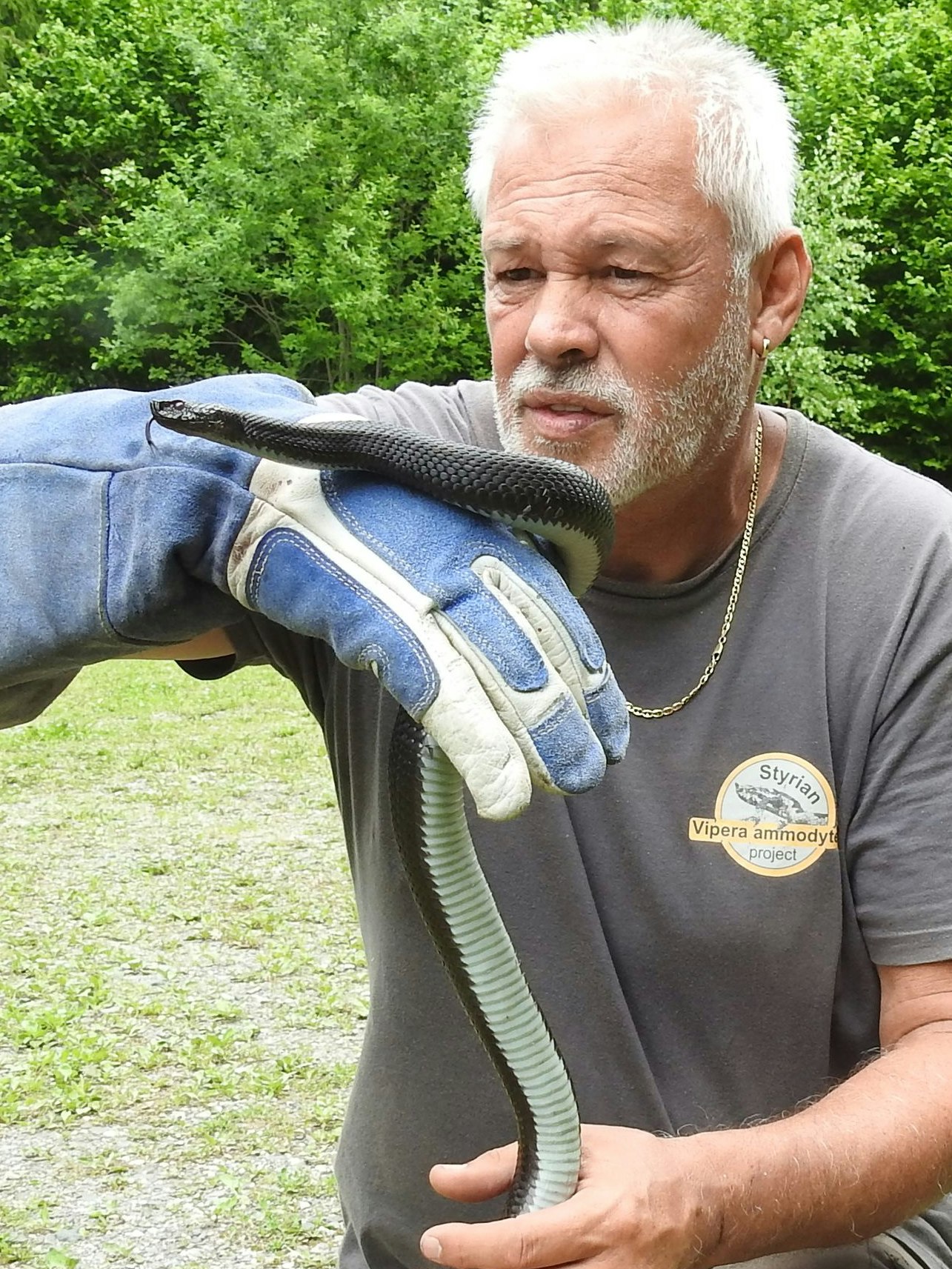 Werner Stangl mit dem schwarz-weiß gezeichneten Hybrid-Weibchen.