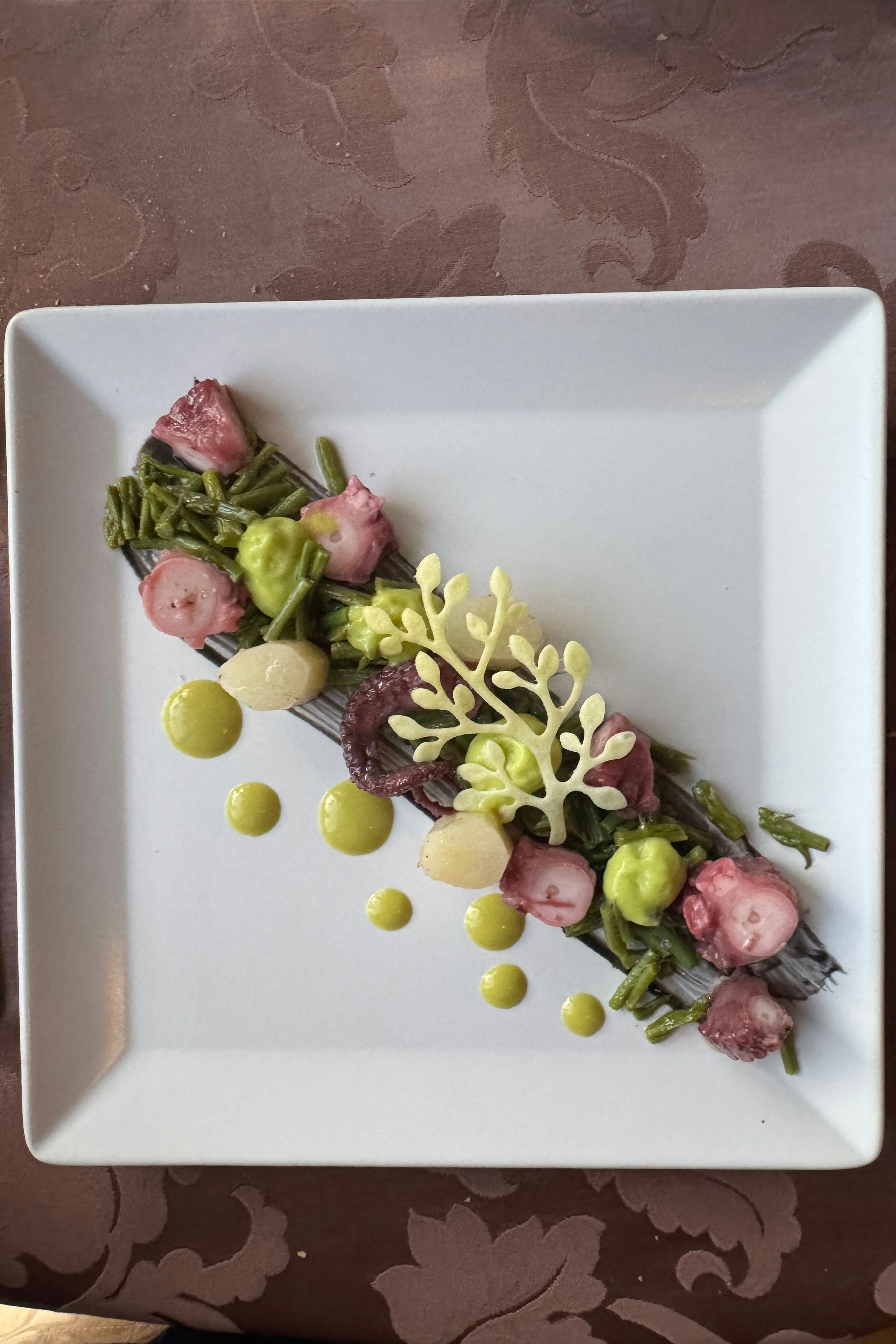 Lauwarmer Oktopus mit weißem und grünem Spargel