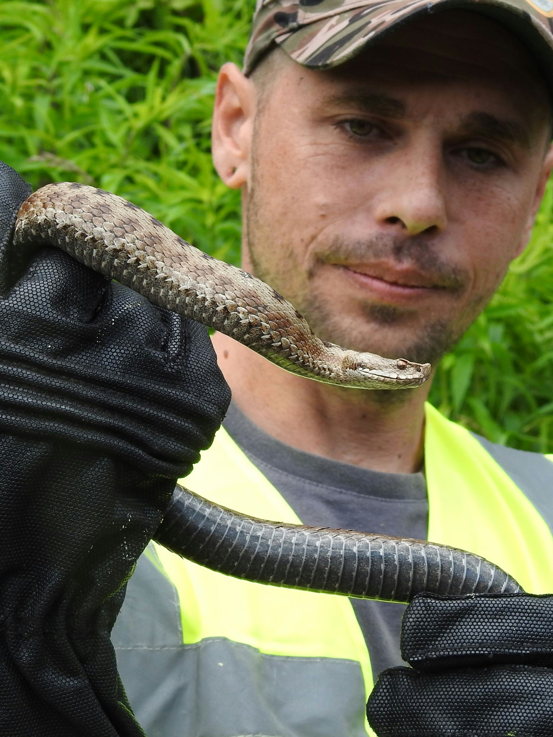 Markus Mossauer mit einem der "Naturbastarde"