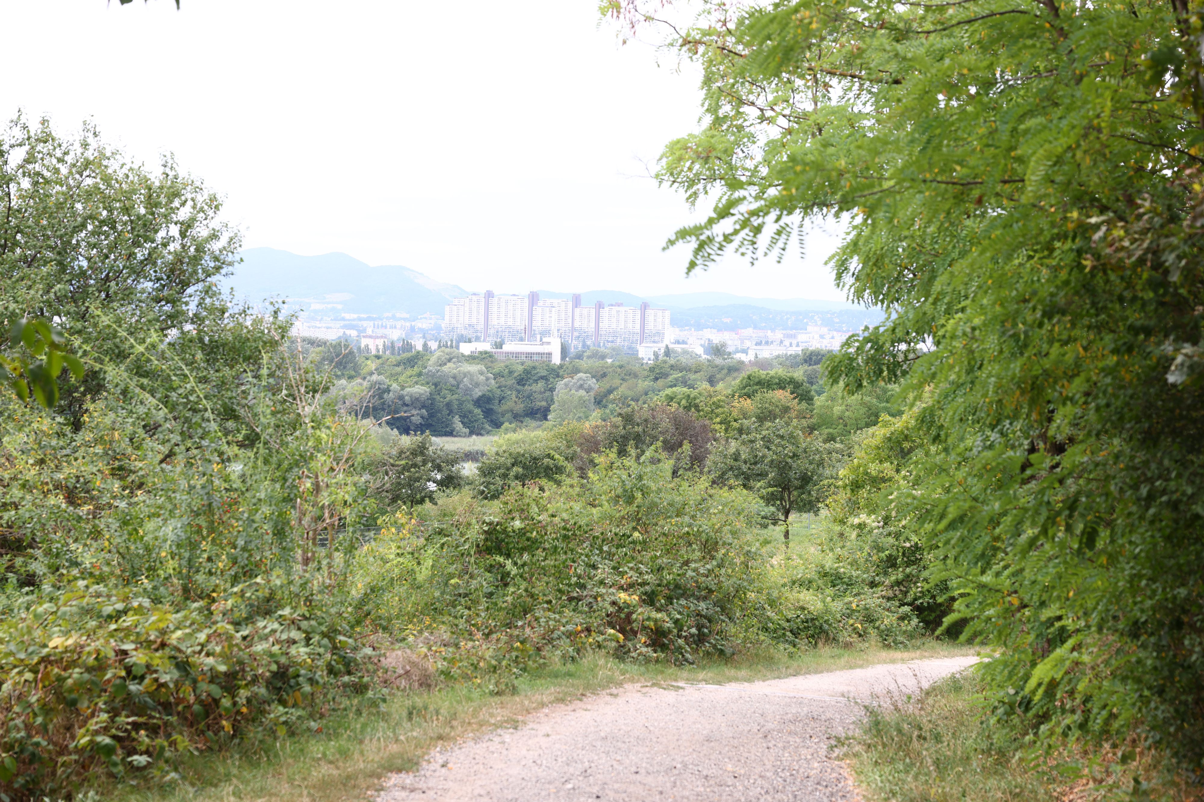 Der 20-Jährige wurde am Wienerberg brutal ausgeraubt. 