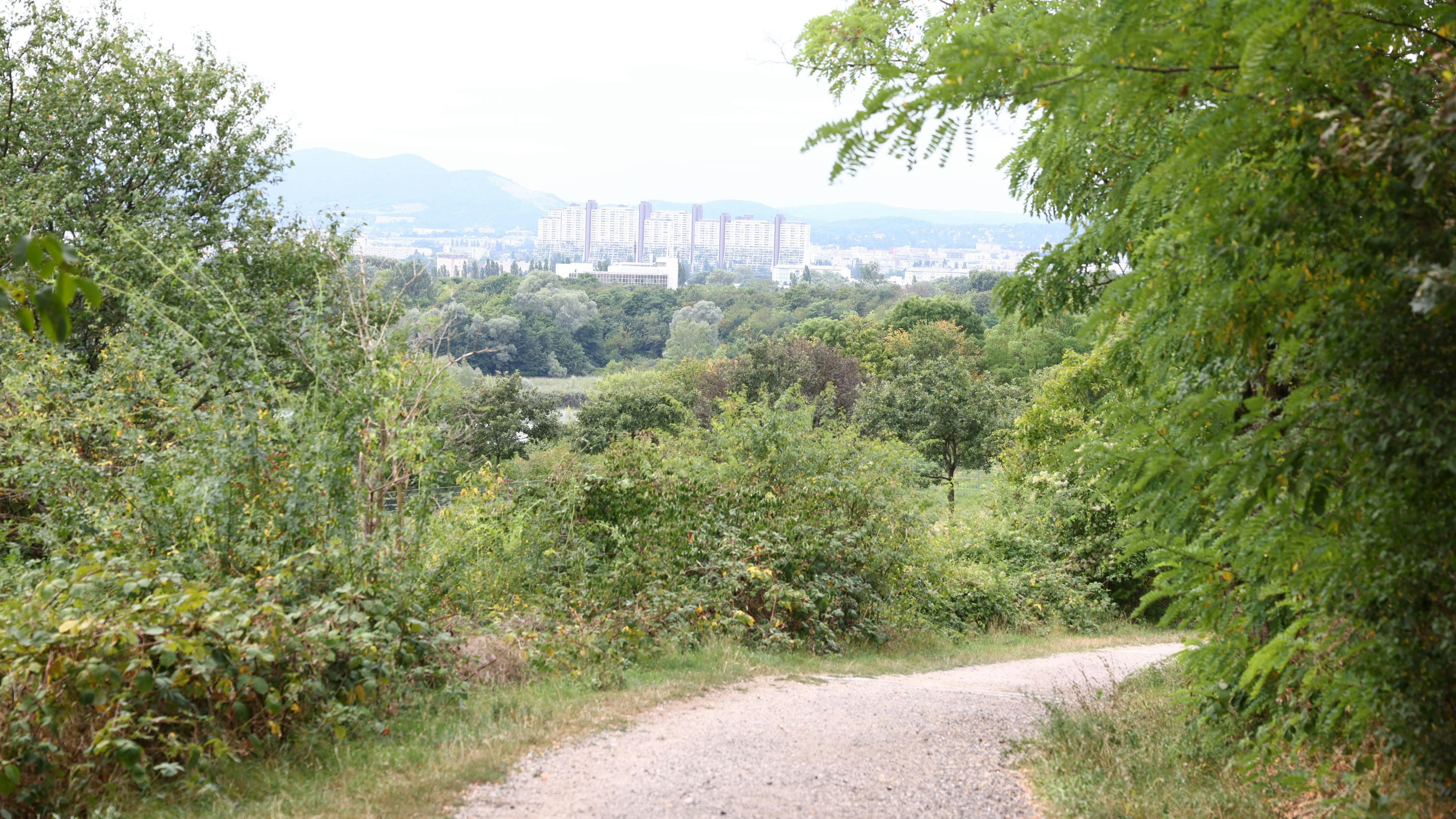 Der 20-Jährige wurde am Wienerberg brutal ausgeraubt. 