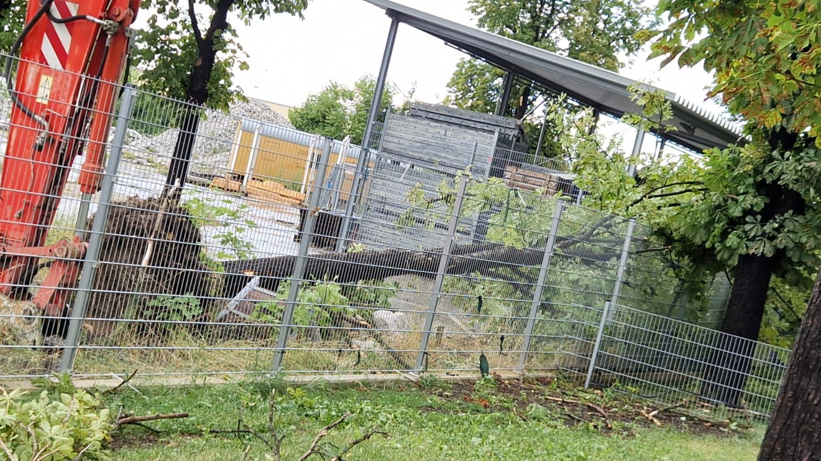 In Wiener Neustadt war das Unwetter so schnell verschwunden, wie es gekommen war. Die Schäden werden aber länger bleiben.