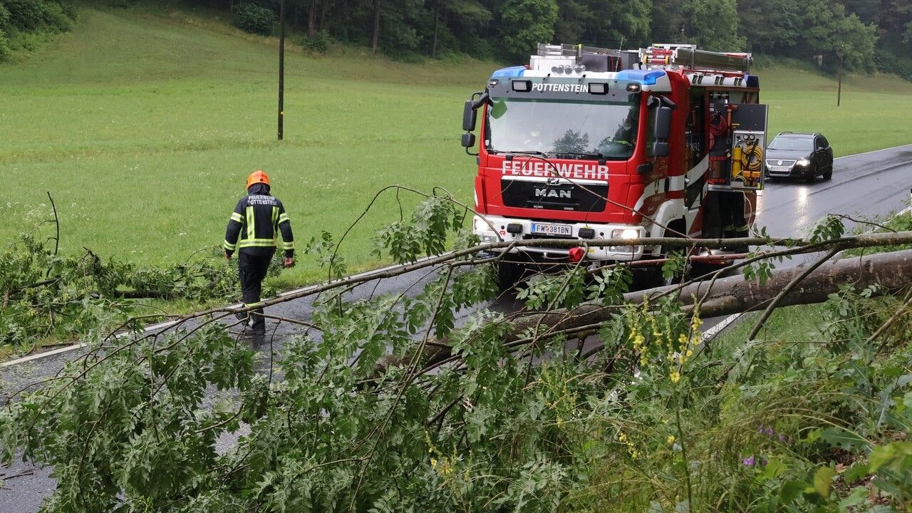 Umgestürzter Baum blockierte die Landesstraße