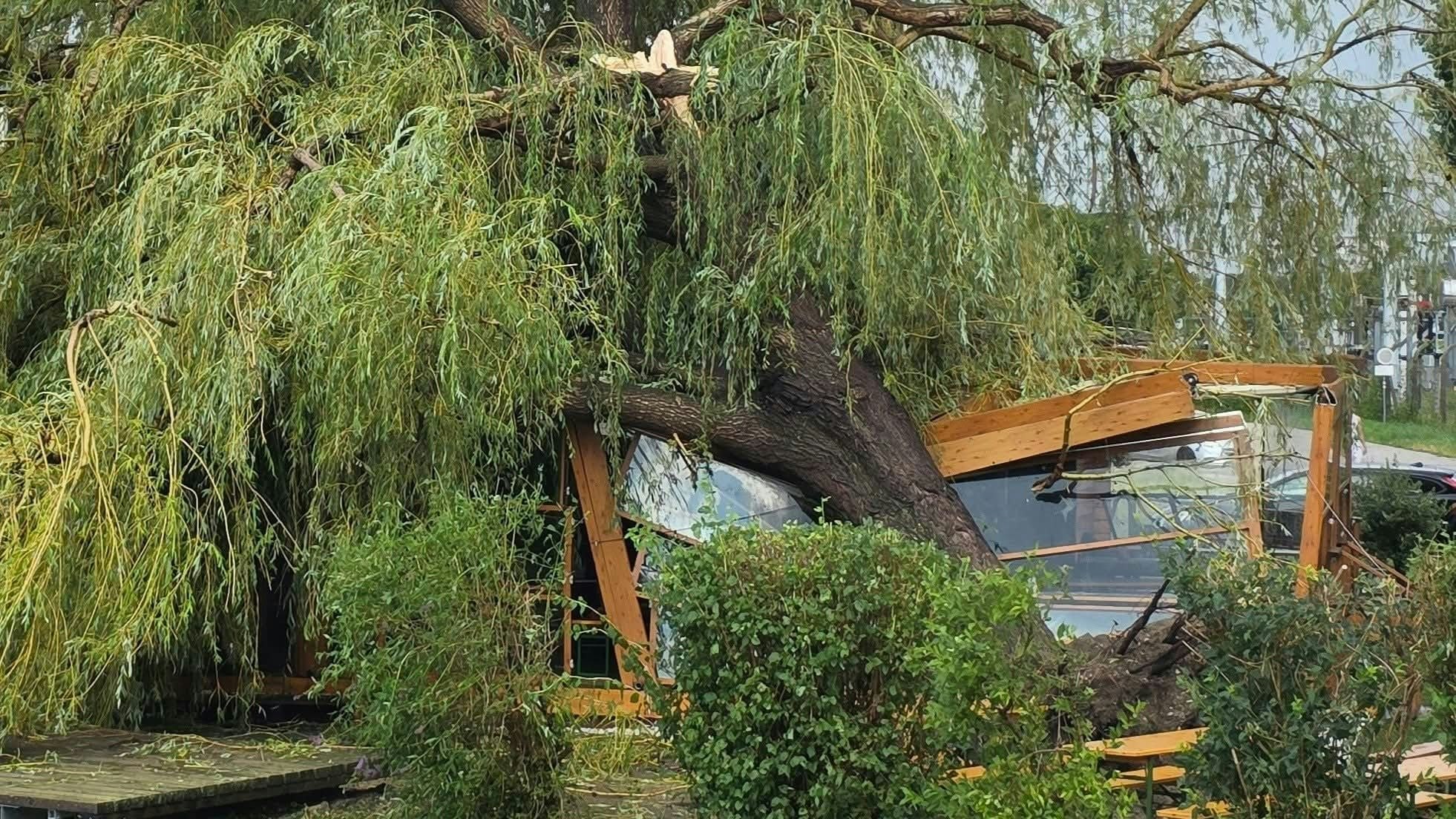 Heute.at - Unwetterfront – Hagel und Sturm treffen NÖ hart