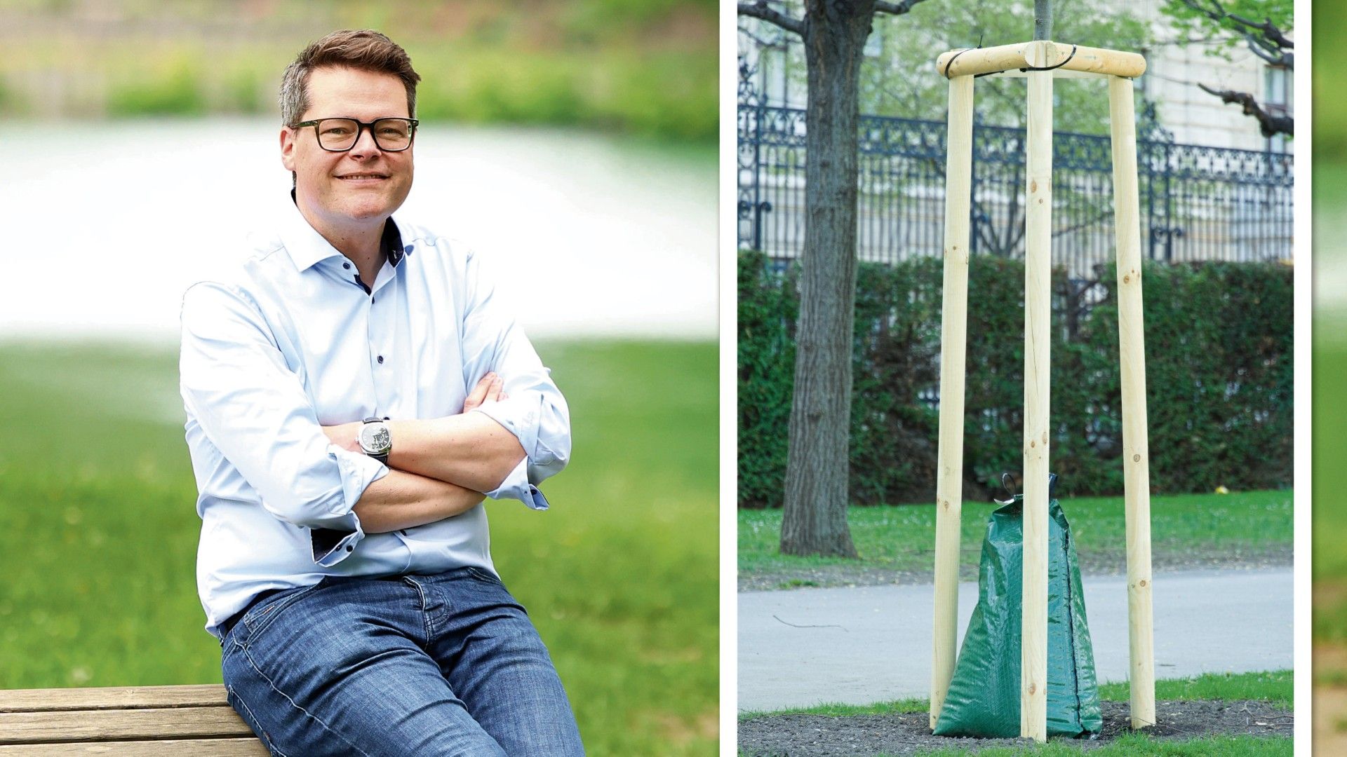 Oft werden Jungbäume mit Gießsäcken gegossen. Klimastadtrat Jürgen Czernohorszky weiß, wie viel Wasser sie brauchen.
