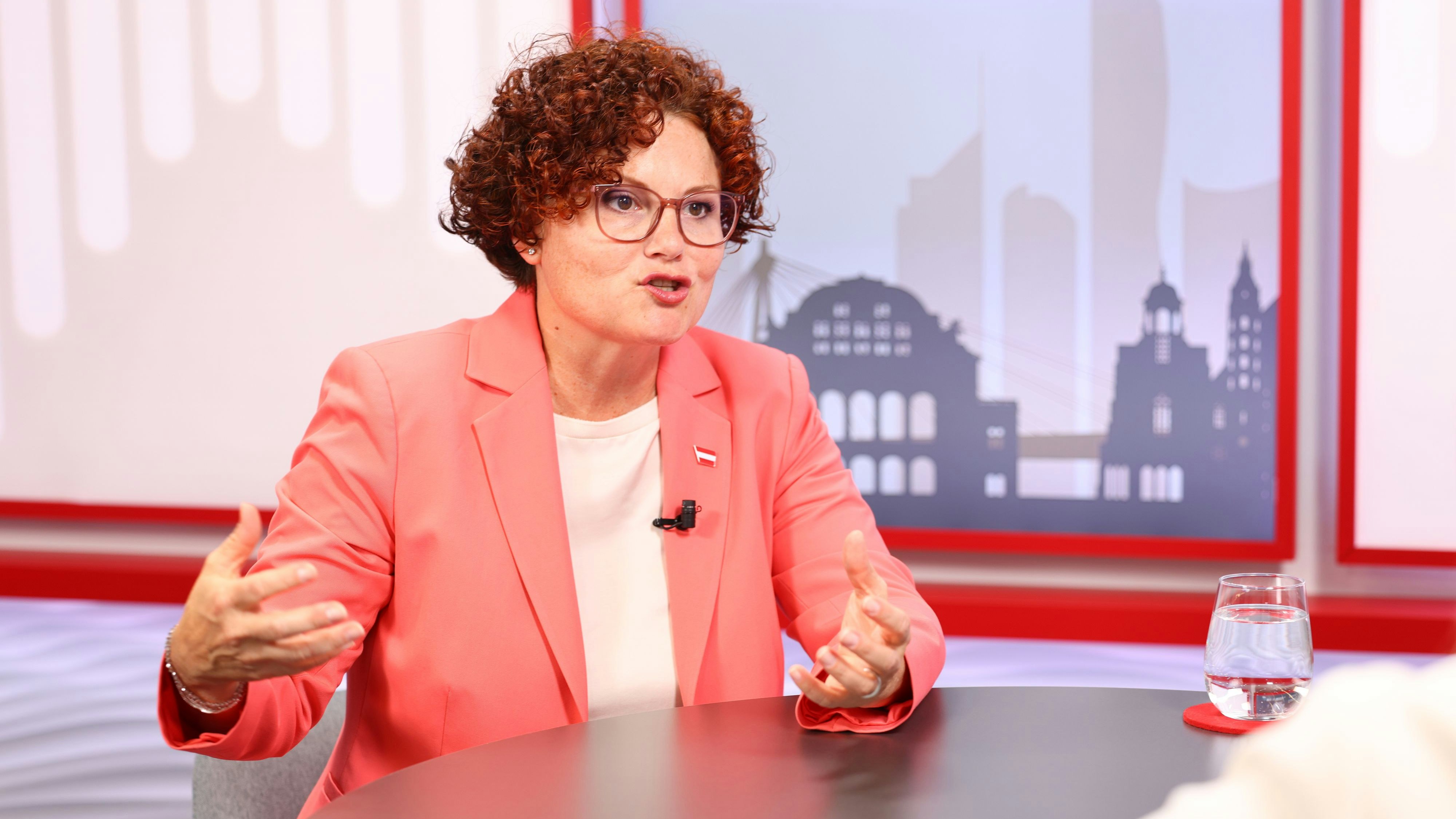 Staatssekretärin Zehetner: "Netzkosten gerechter verteilen."
