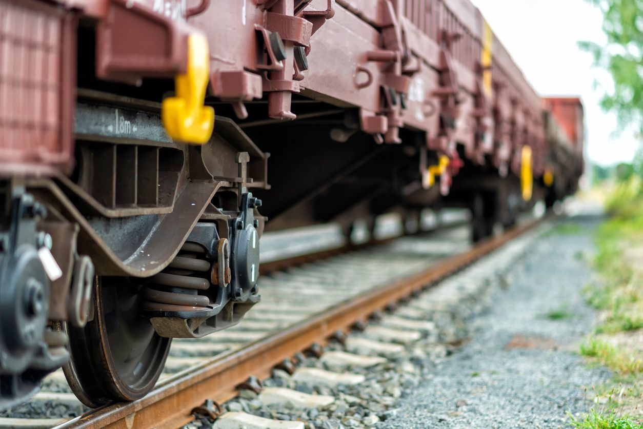 Für die Tiere kam jede Hilfe zu spät.