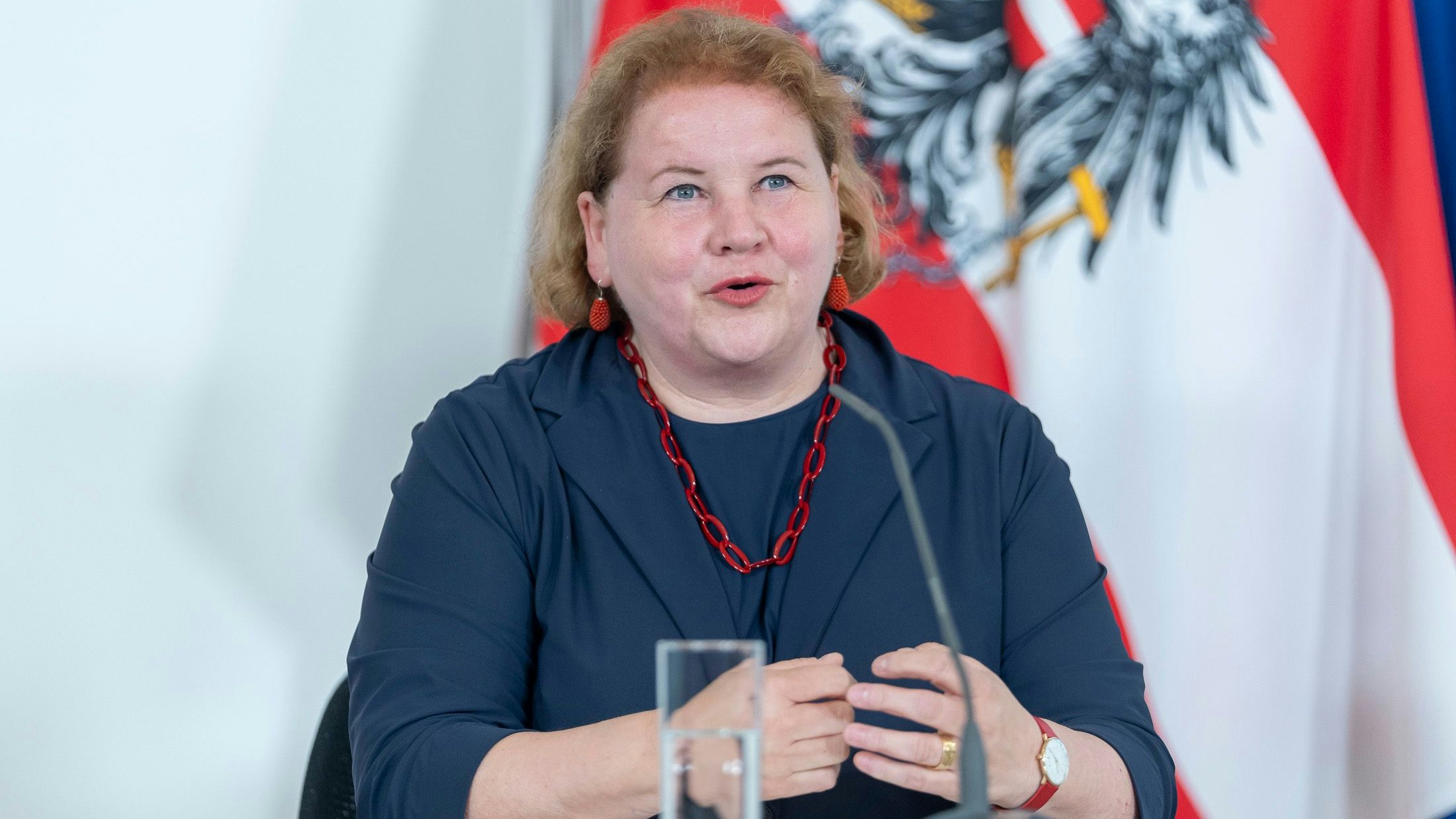 Muss Gesundheitssystem in Griff bekommen: Korinna Schumann (SPÖ)