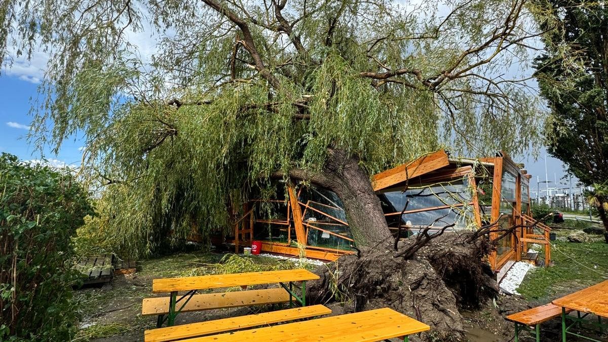 Das "Bootshaus" in Wiener Neustadt wurde durch einen herabstürzenden Baum schwer beschädigt.
