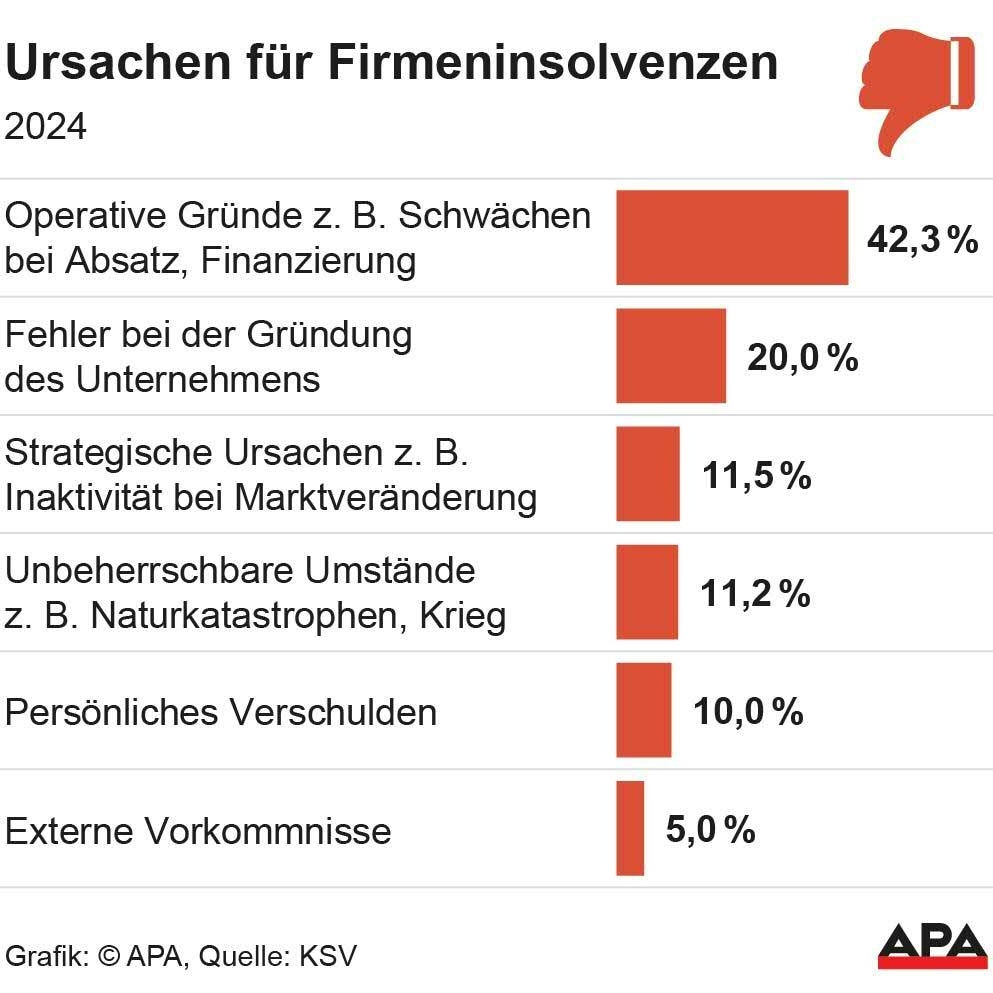 Die Gründe für Insolvenzen in der Übersicht.