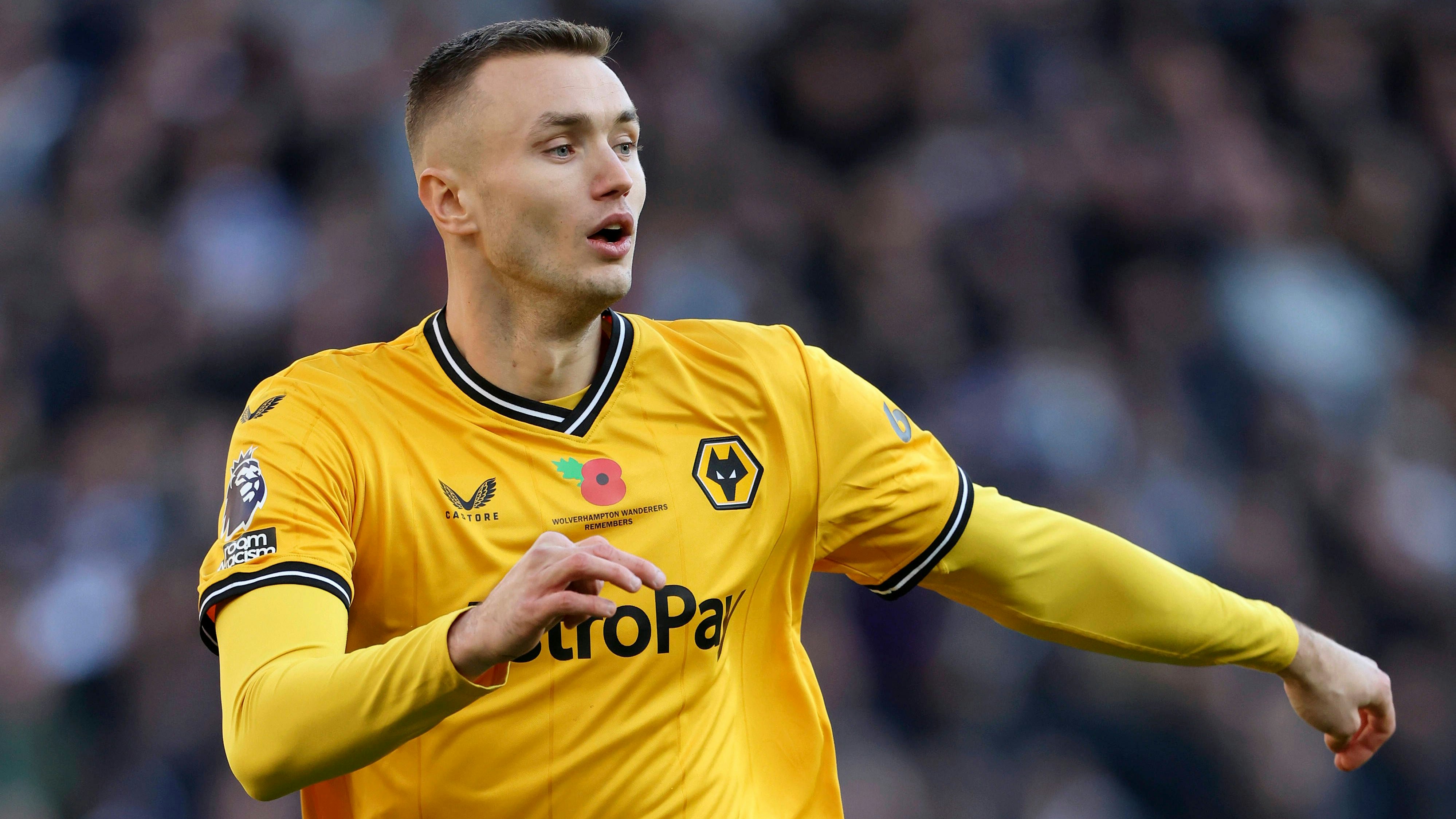 Heute.at - Kalajdzic trifft endlich wieder für Wolverhampton