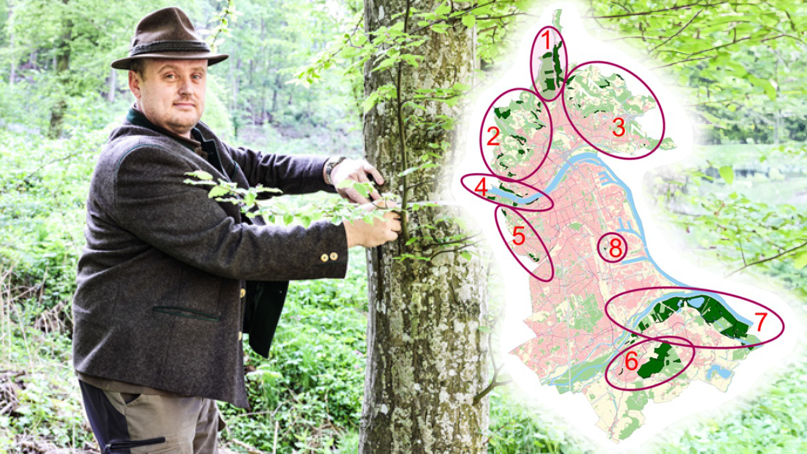 Stadtförster Rudolf Horner und sechs Forstfacharbeiter kümmern sich das ganze Jahr über um die Pflege der Linzer Waldflächen.