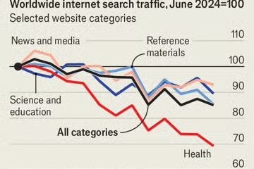 Zwischen Jänner 2024 (ganz links) und Juni 2025 (ganz rechts) ging die Internet-Suche in vielen relevanten Themen-Kategorien teils deutlich zurück