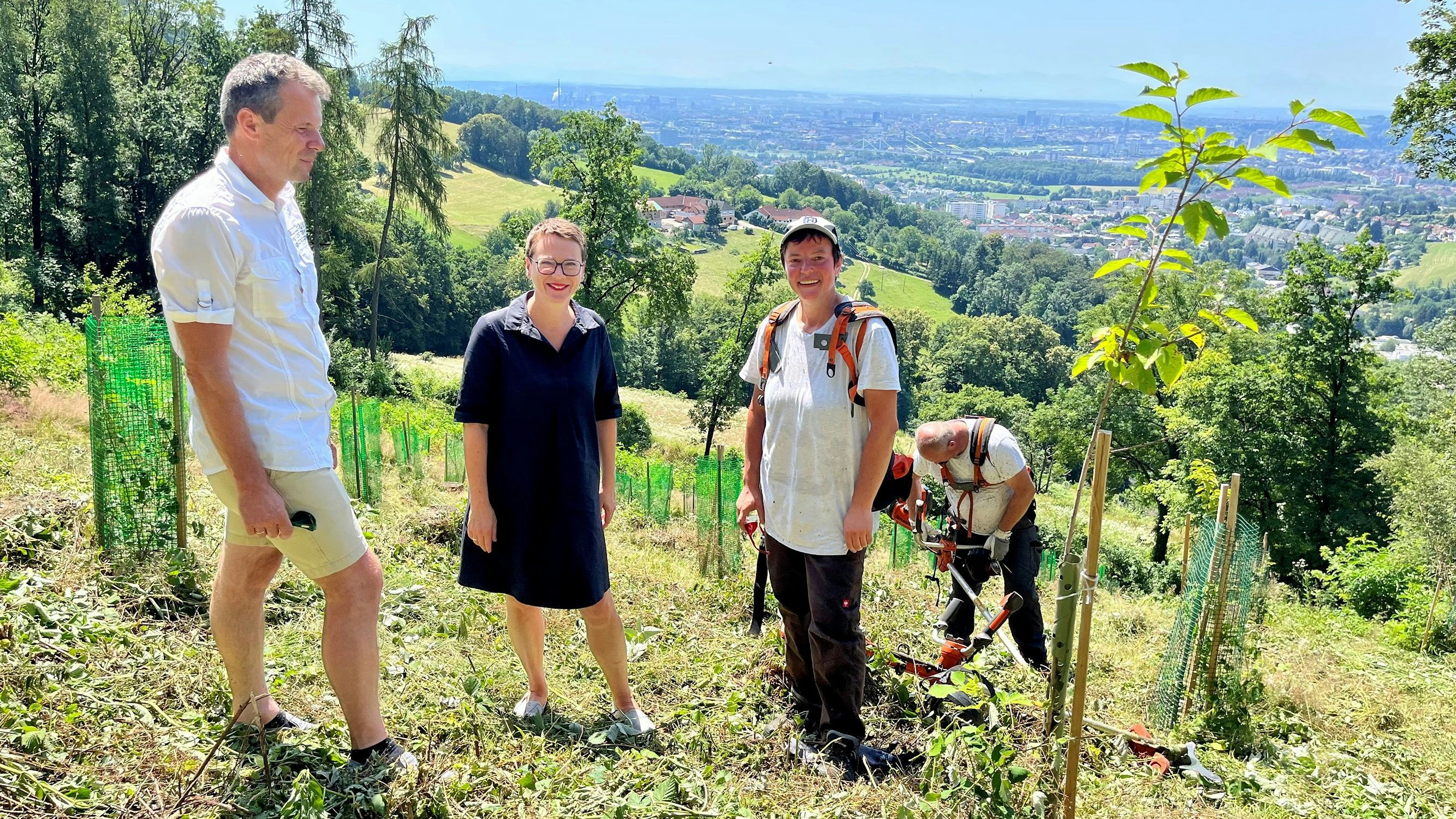 Klimastadträtin Eva Schobesberger (Grüne) mit Günter Haderer (WIKE) und Roswitha Reichör vom Forstteam bei Aufforstungen in Urfahr.