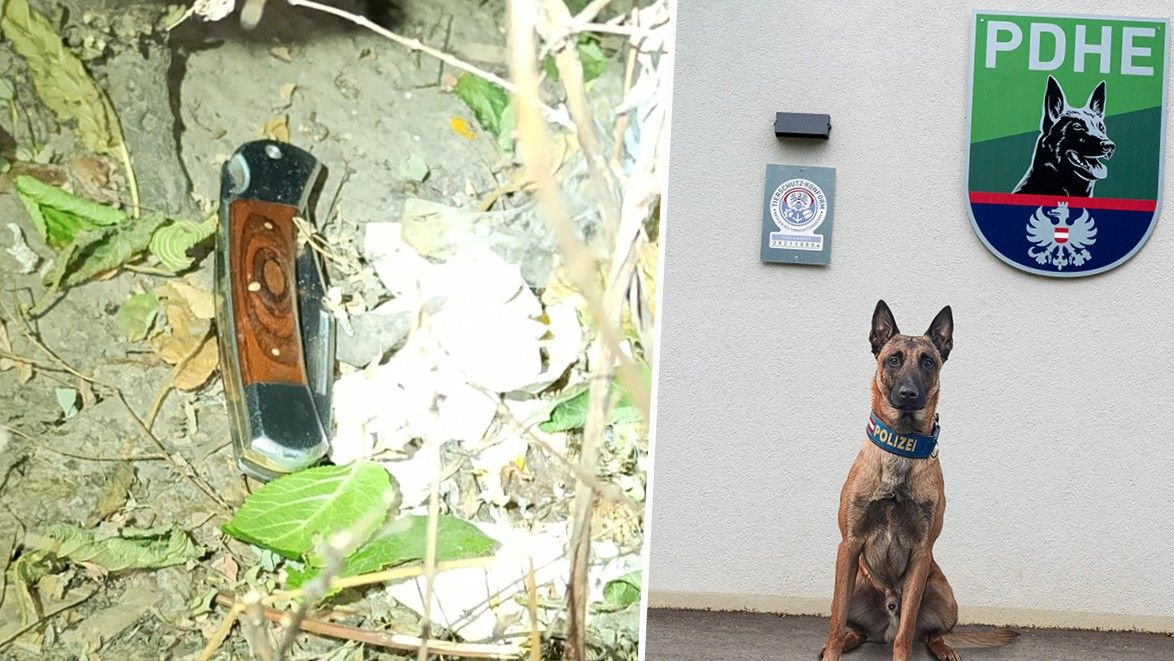 Die mutmaßliche Tatwaffe konnte durch Polizeidiensthund 