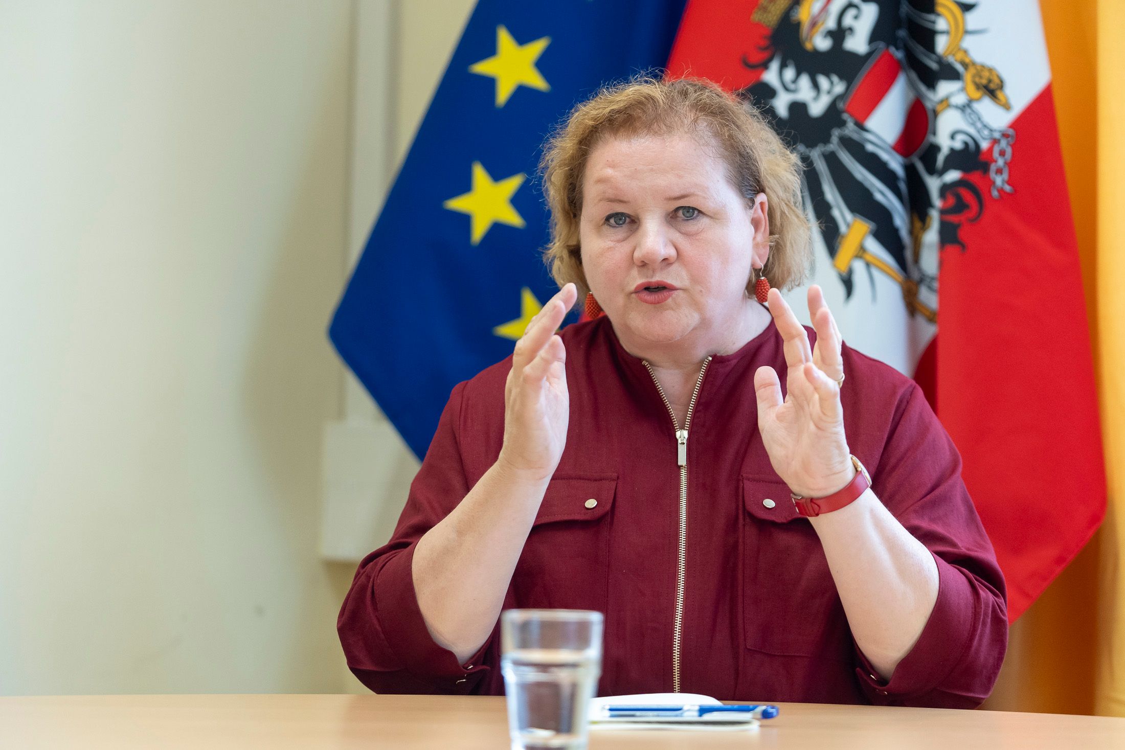 Heute.at - Schumann warnt vor Privatisierung im Gesundheitssystem