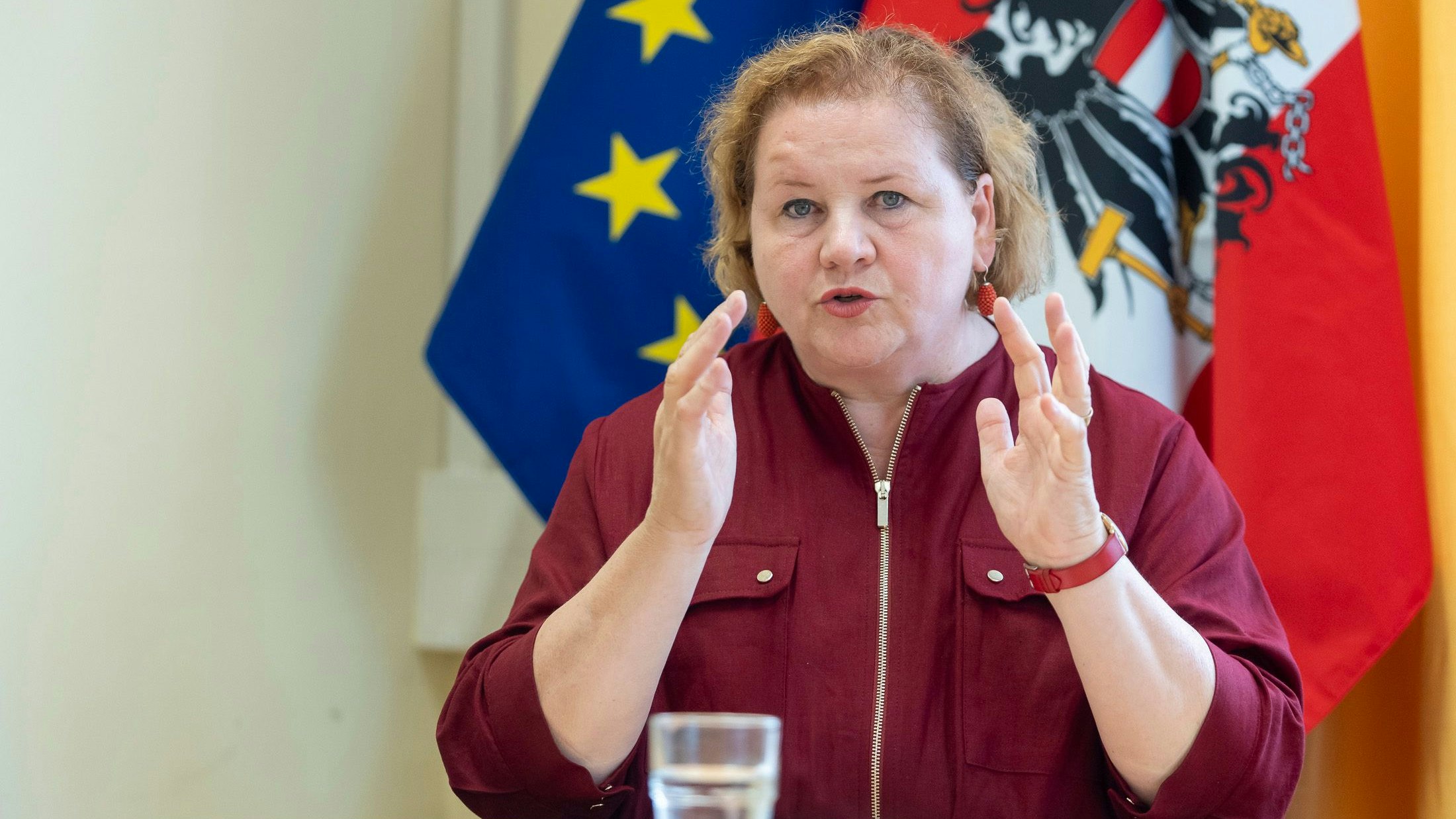 Heute.at - Schumann warnt vor Privatisierung im Gesundheitssystem