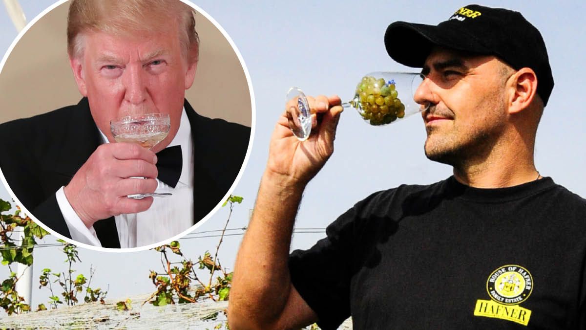 Winzer Julius Hafner verliert wegen Trumps Zöllen viele US-Fans seiner Weine (<em>Heute</em>-Montage).