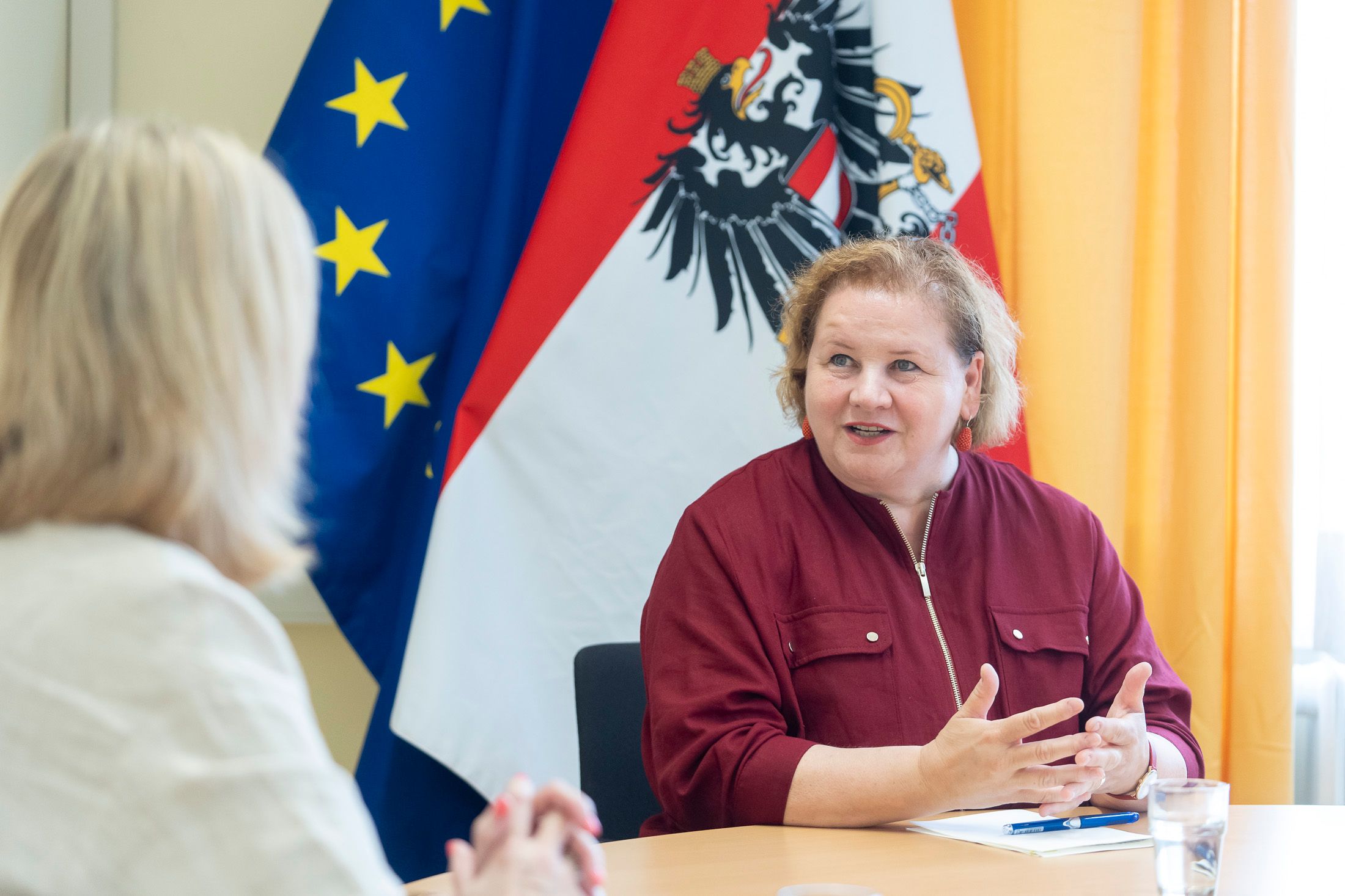 Sozial- und Arbeitsministerin Korinna Schumann (SPÖ) im Interview mit <em>