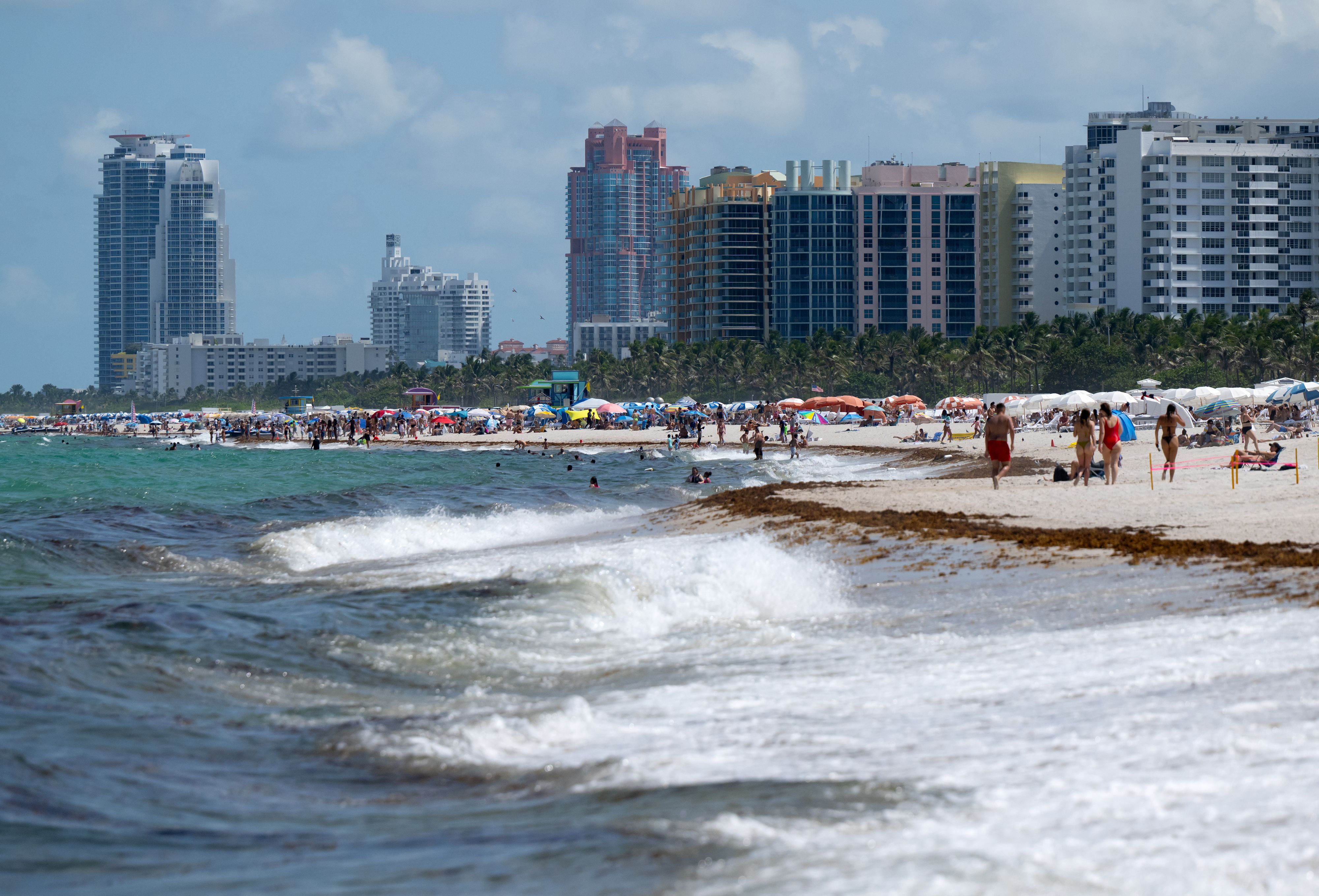 In Florida sind bereits vier Menschen einem fleischfressenden Bakterium zum Opfer gefallen.