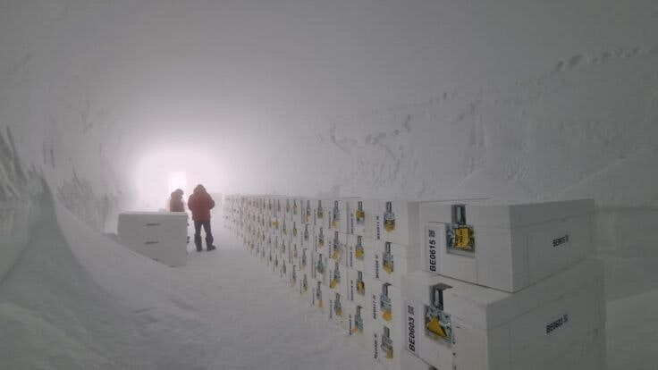 Heute.at - Großes Klimawandel-Rätsel – jetzt kommt alles ans Licht