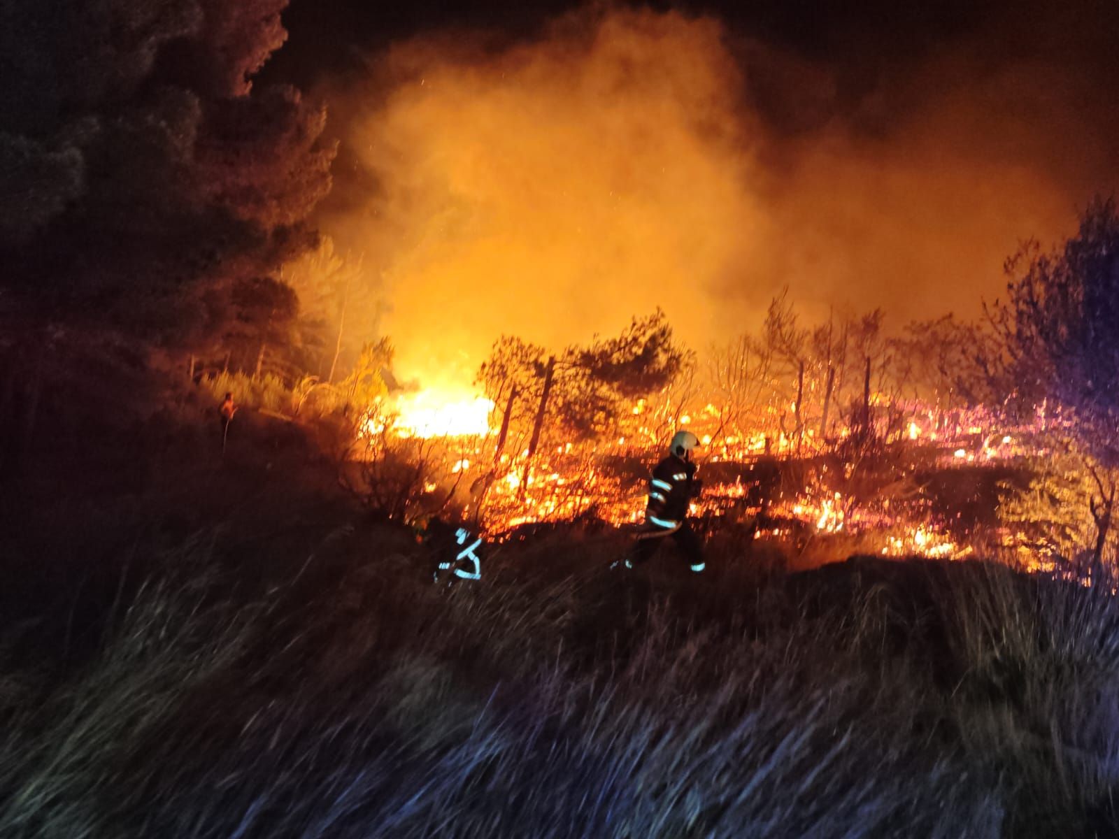 Ein Großbrand auf der kroatischen Insel Brač brach aus. Ein Hotel und ein Campingplatz mussten evakuiert werden.
