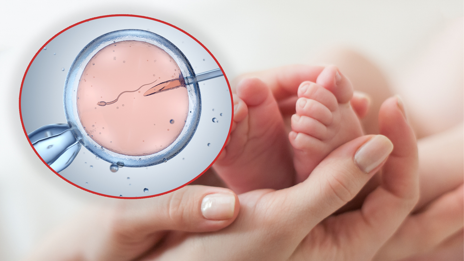 Die neue IVF-basierte mitochondriale Spendetechnologie, der Pronukleustransfer, soll das Risiko mitochondrialer DNA-Erkrankungen bei Kindern von Frauen mit hohen Anteilen krankheitsverursachender mitochondrialer DNA-Mutationen senken.