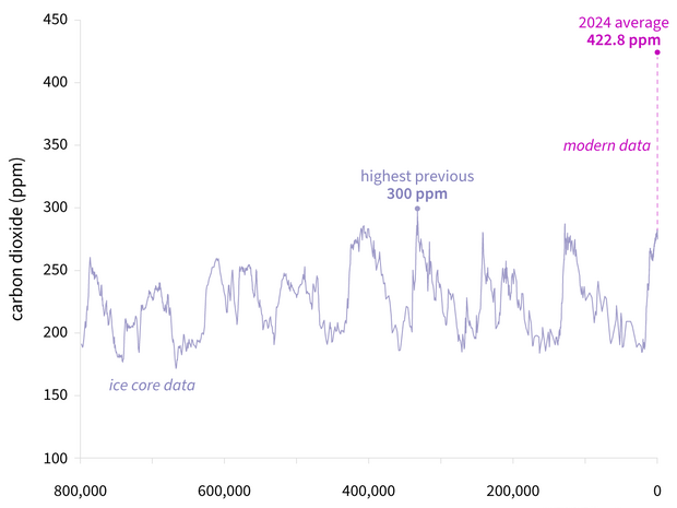 Atmosphärisches Kohlendioxid (CO2) in Teilen pro Million (ppm) für die letzten 800.000 Jahre auf der Grundlage von Eiskerndaten (violette Linie) im Vergleich zu den Konzentrationen im Jahr 2024 (pinker Punkt).
